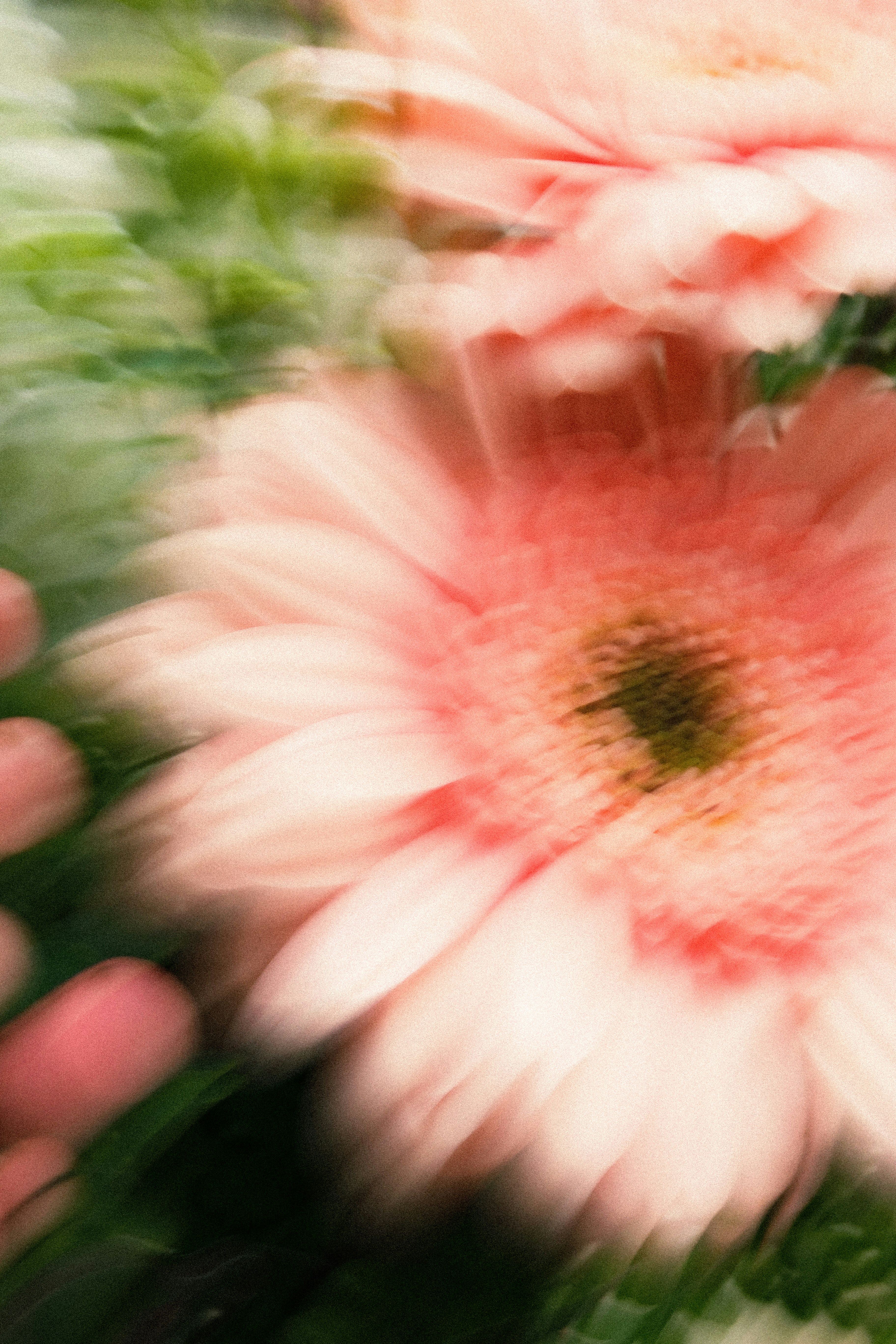 Verschwommene rosa Blüten mit grünem Laub
