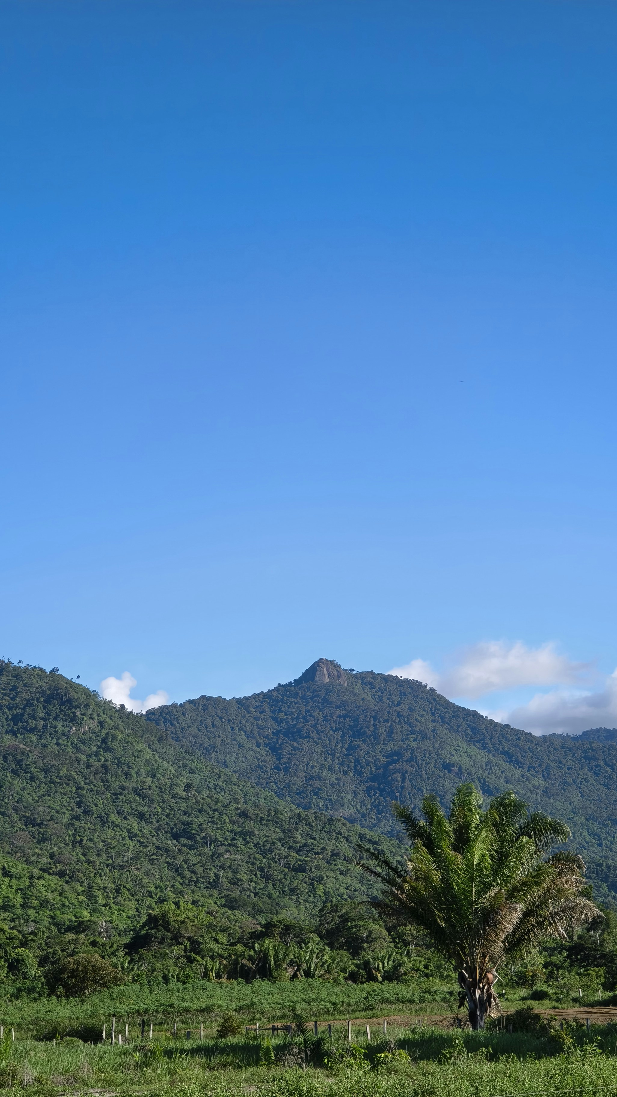 Lush green mountains under a clear blue sky.
