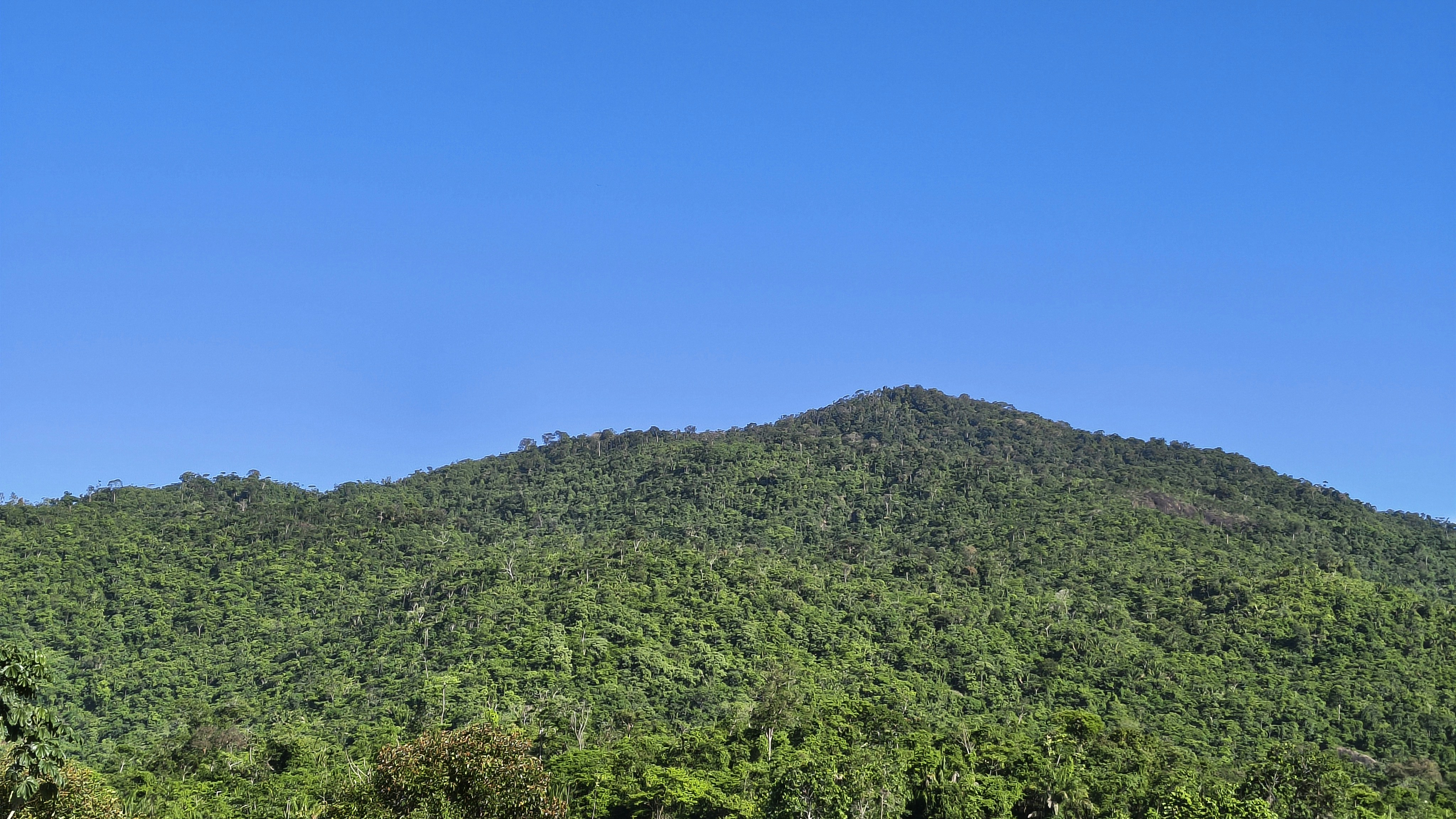 Lush green mountain under a clear blue sky