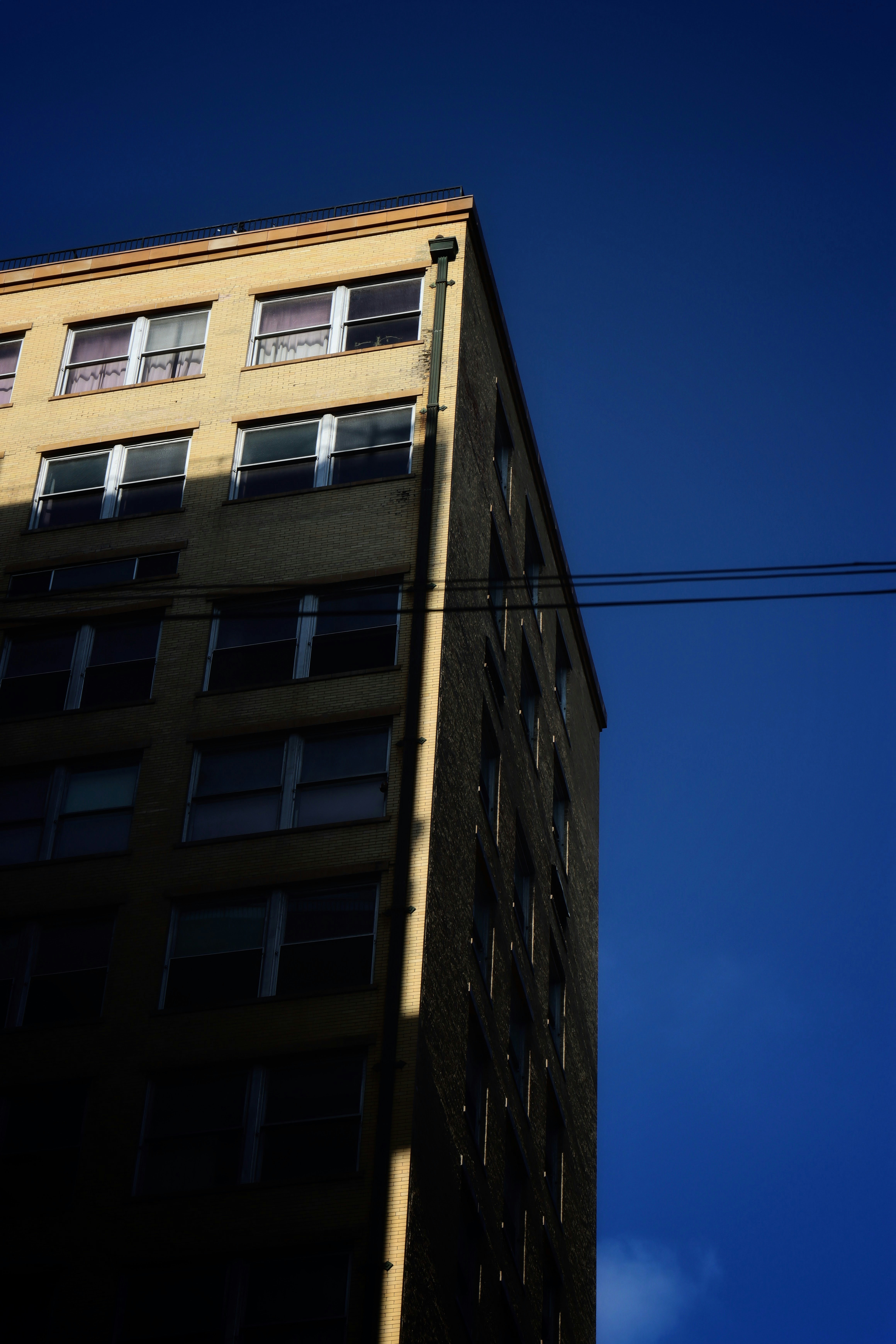 Photo by hazelikespollo