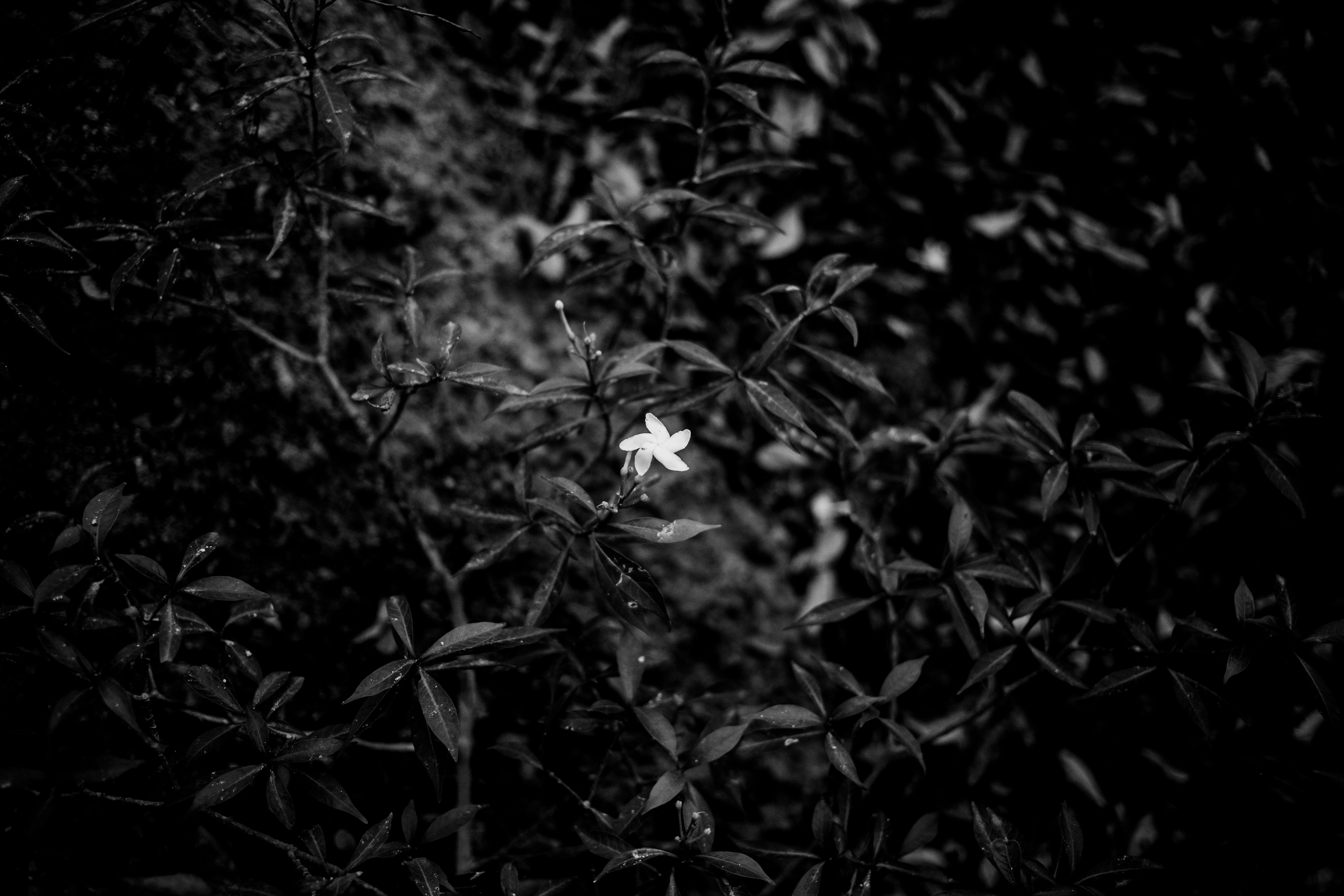 Photo by monkwork