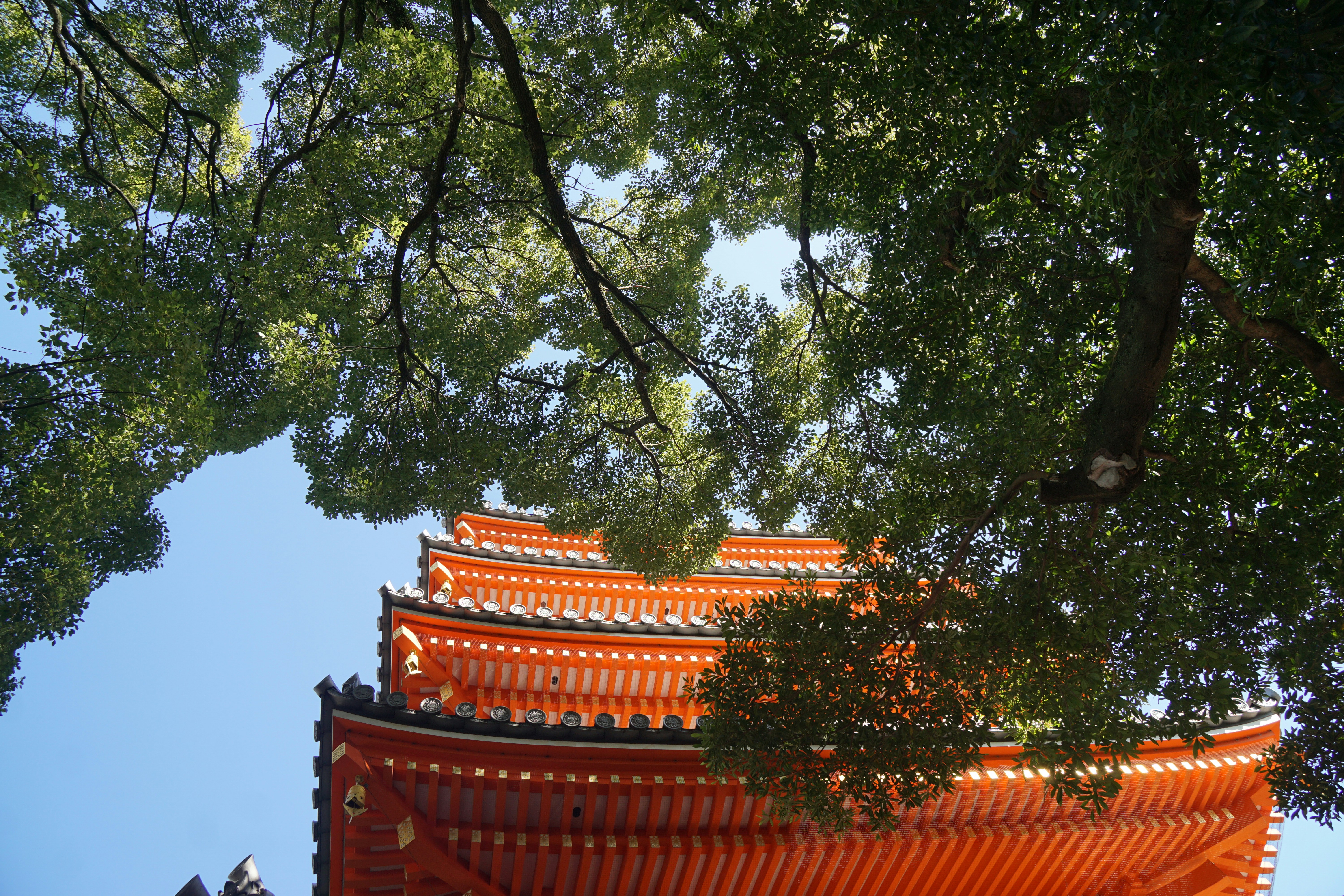 Orange pagoda roof under green leafy trees