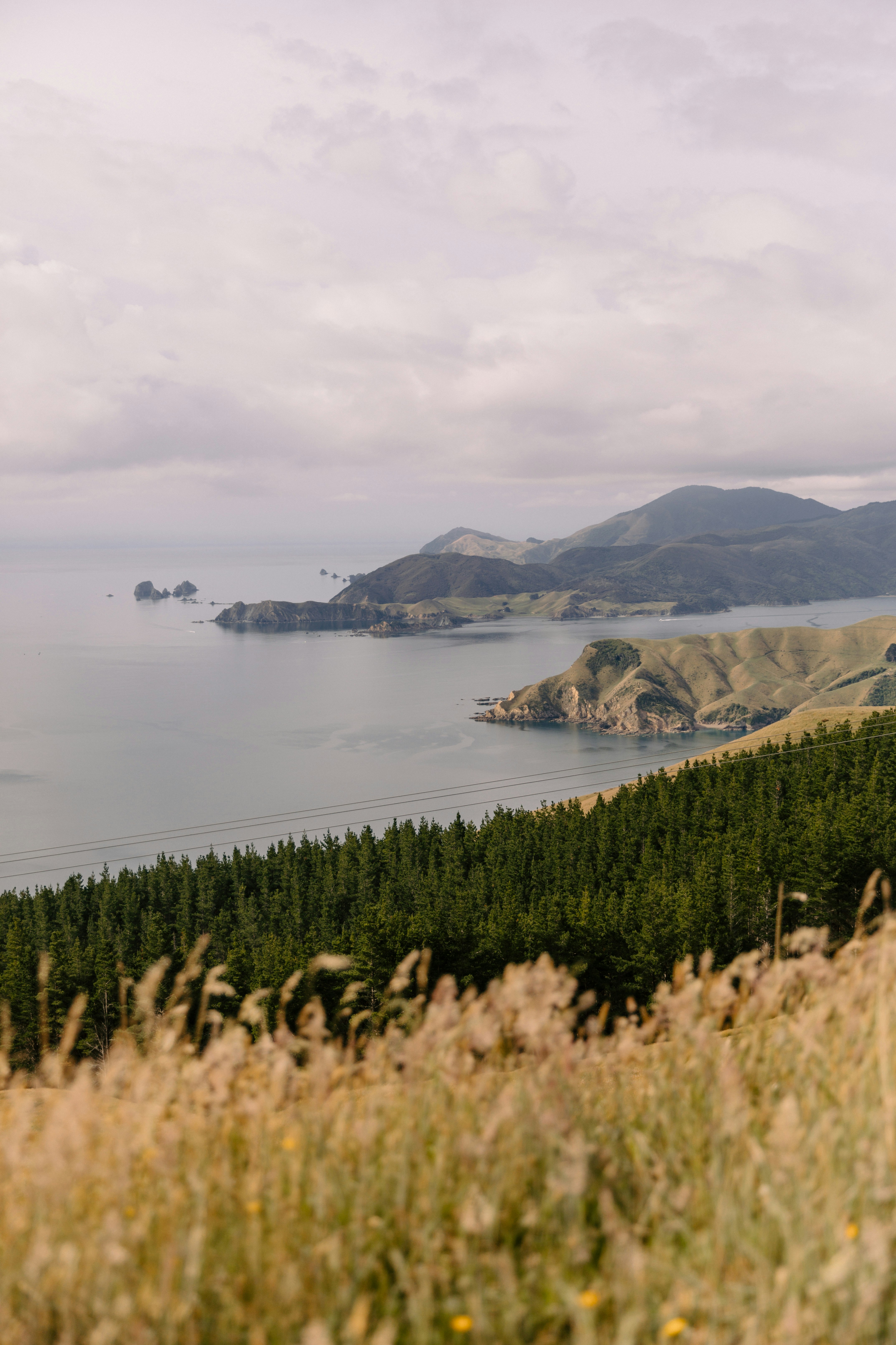 luxury wedding zealand landscape, wallpaper, Average Cost of a Wedding in New Zealand: Complete Budget Guide 3