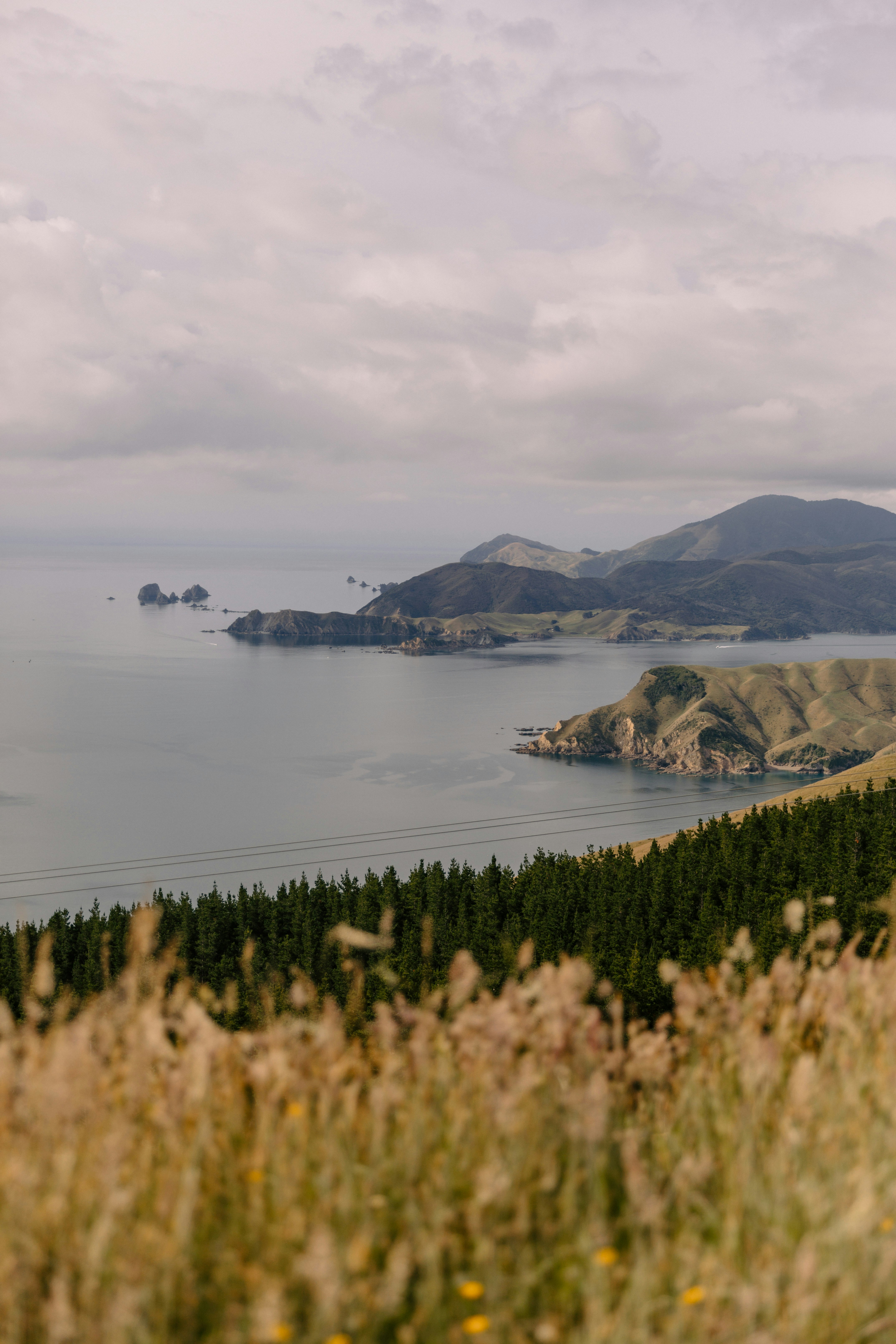 luxury wedding zealand landscape, wallpaper, Average Cost of a Wedding in New Zealand: Complete Budget Guide 6