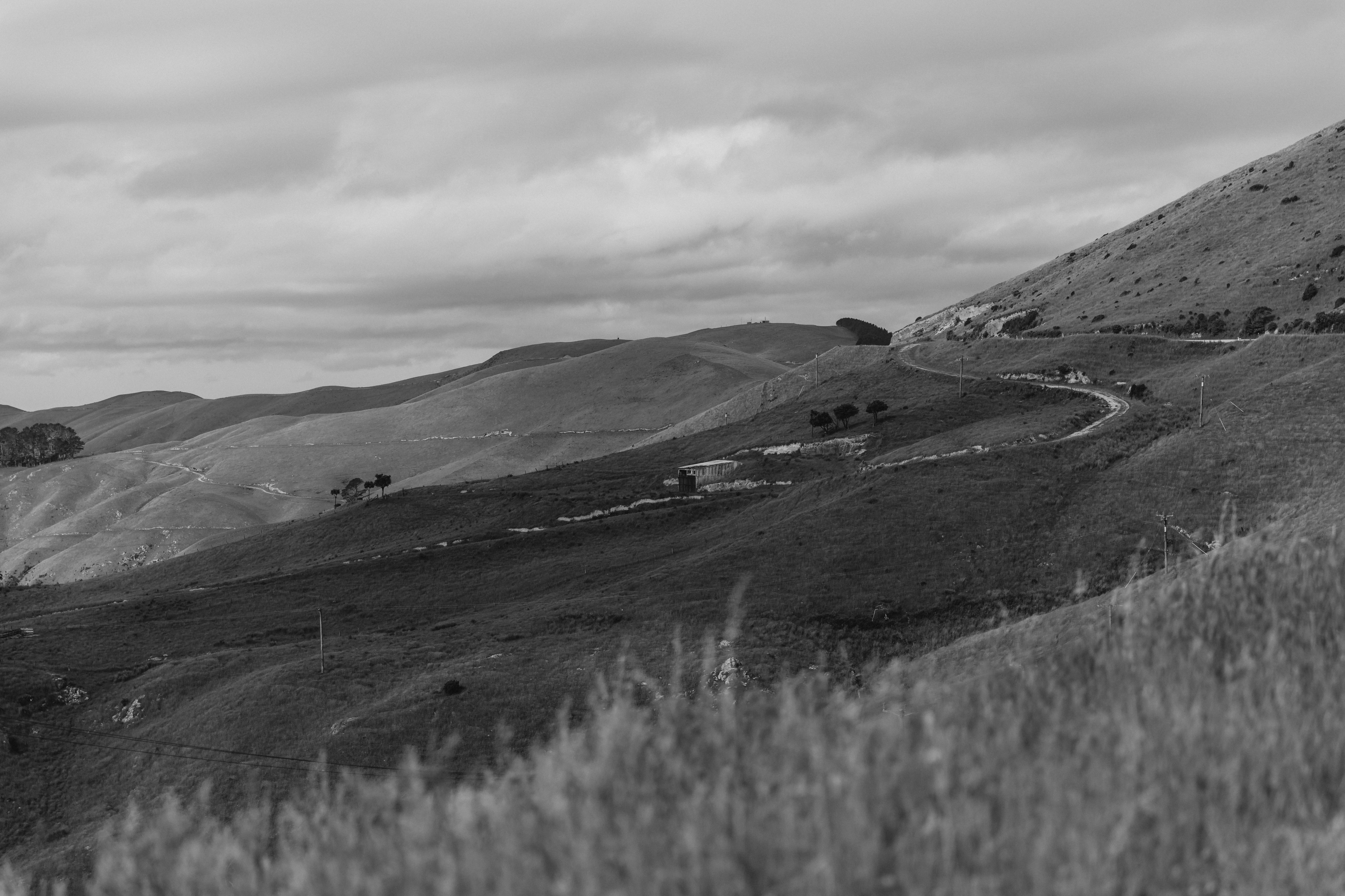 Photo by createinme_nz