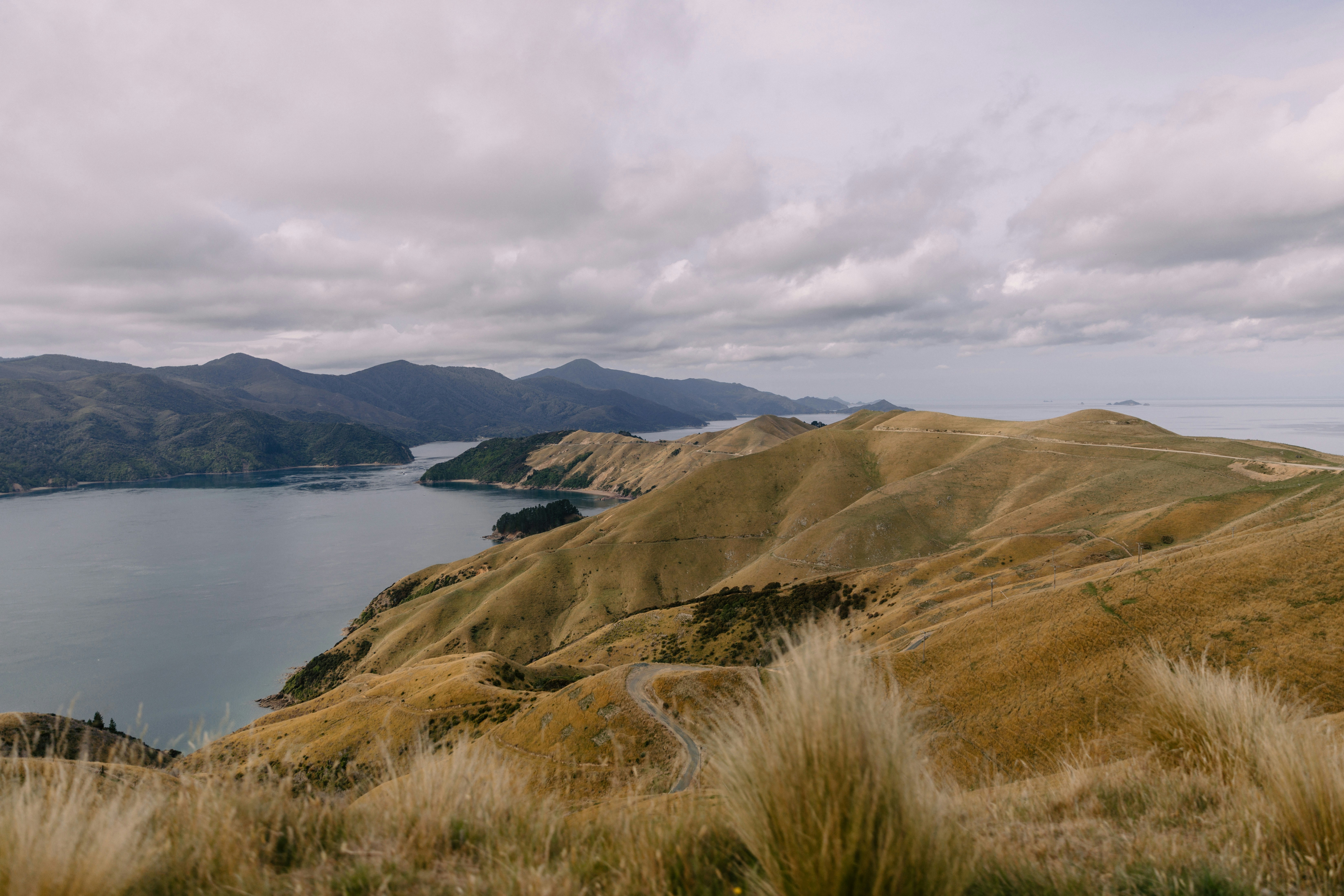 Photo by createinme_nz