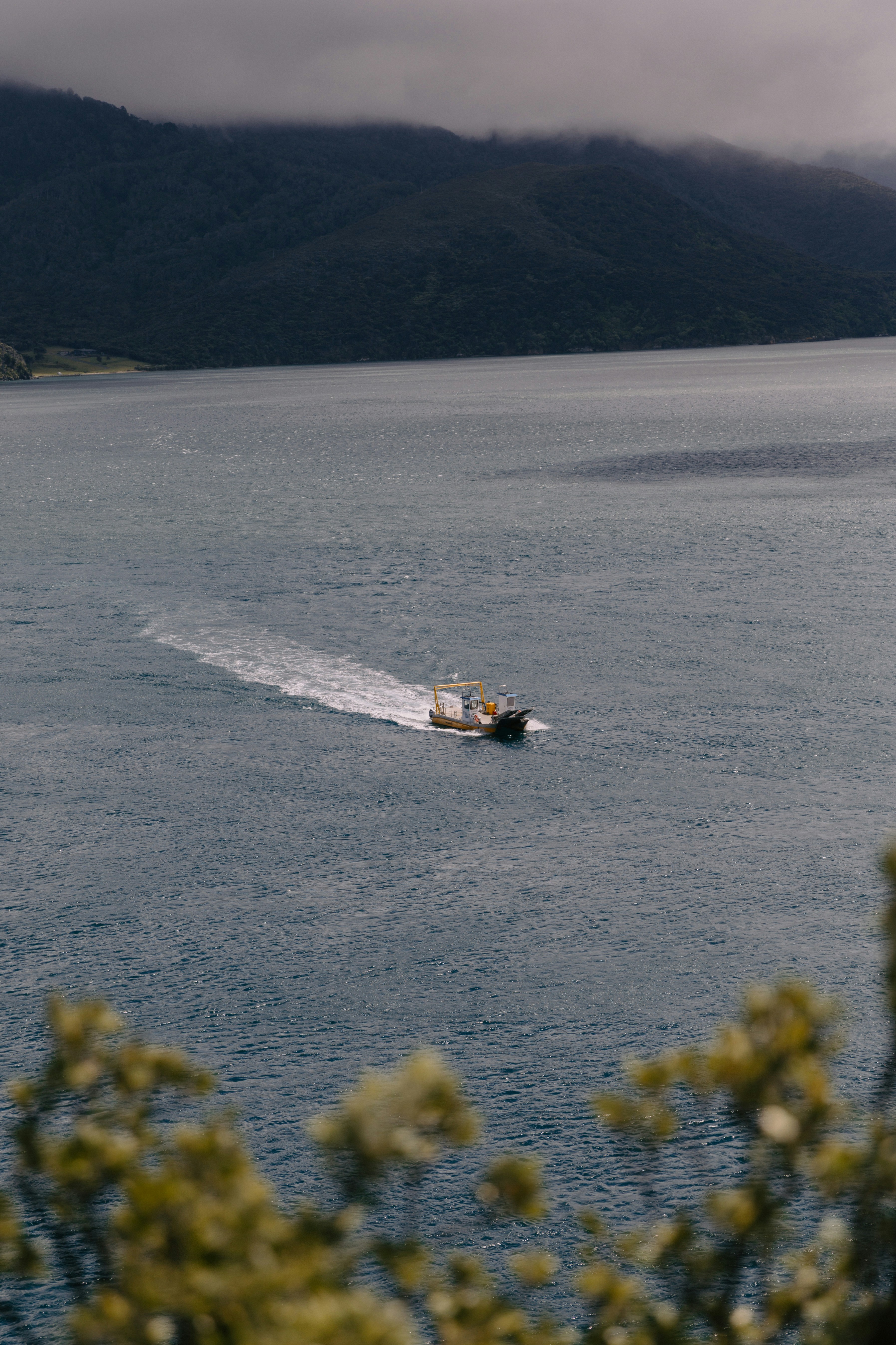 Photo by createinme_nz