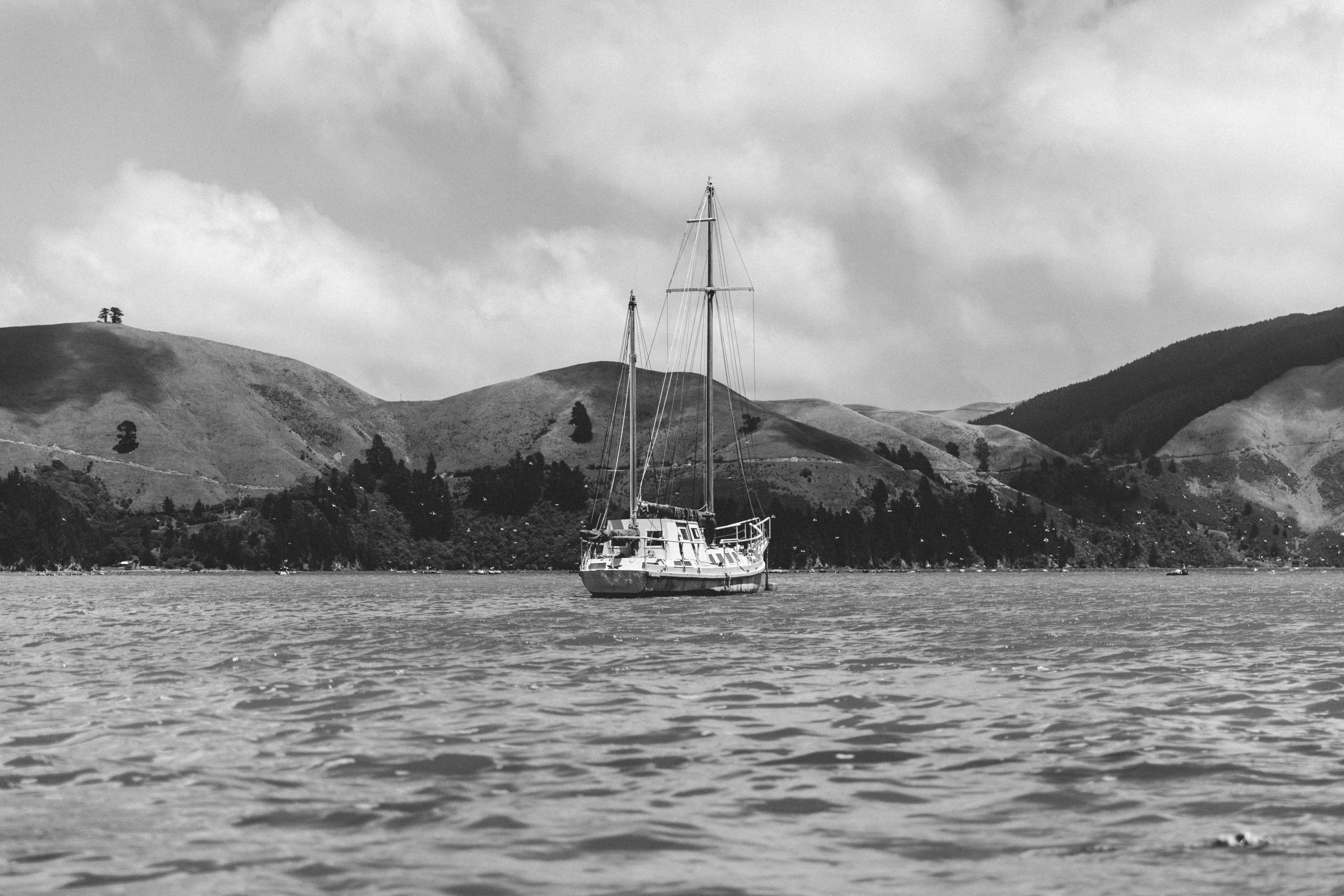 Photo by createinme_nz