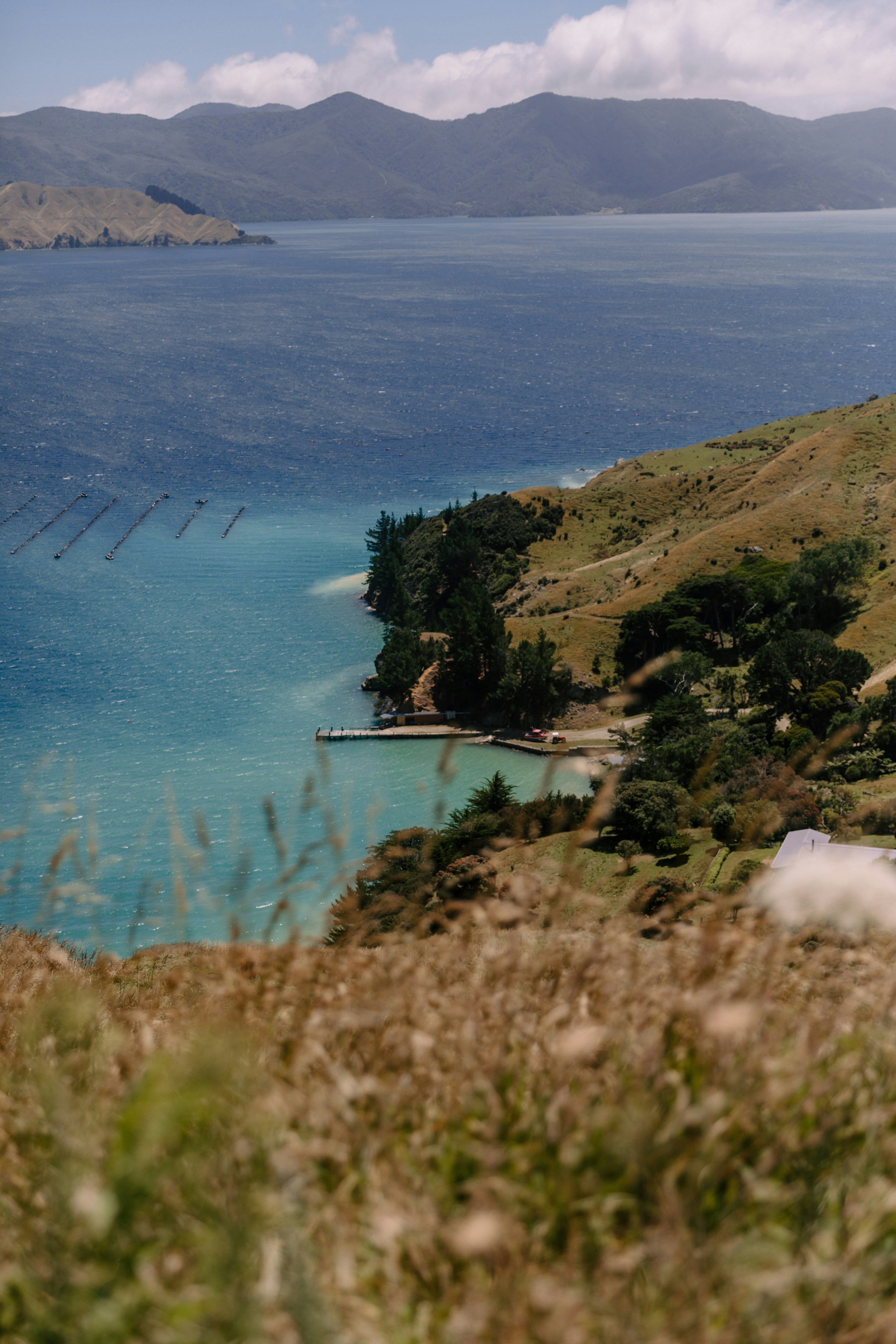 Photo by createinme_nz