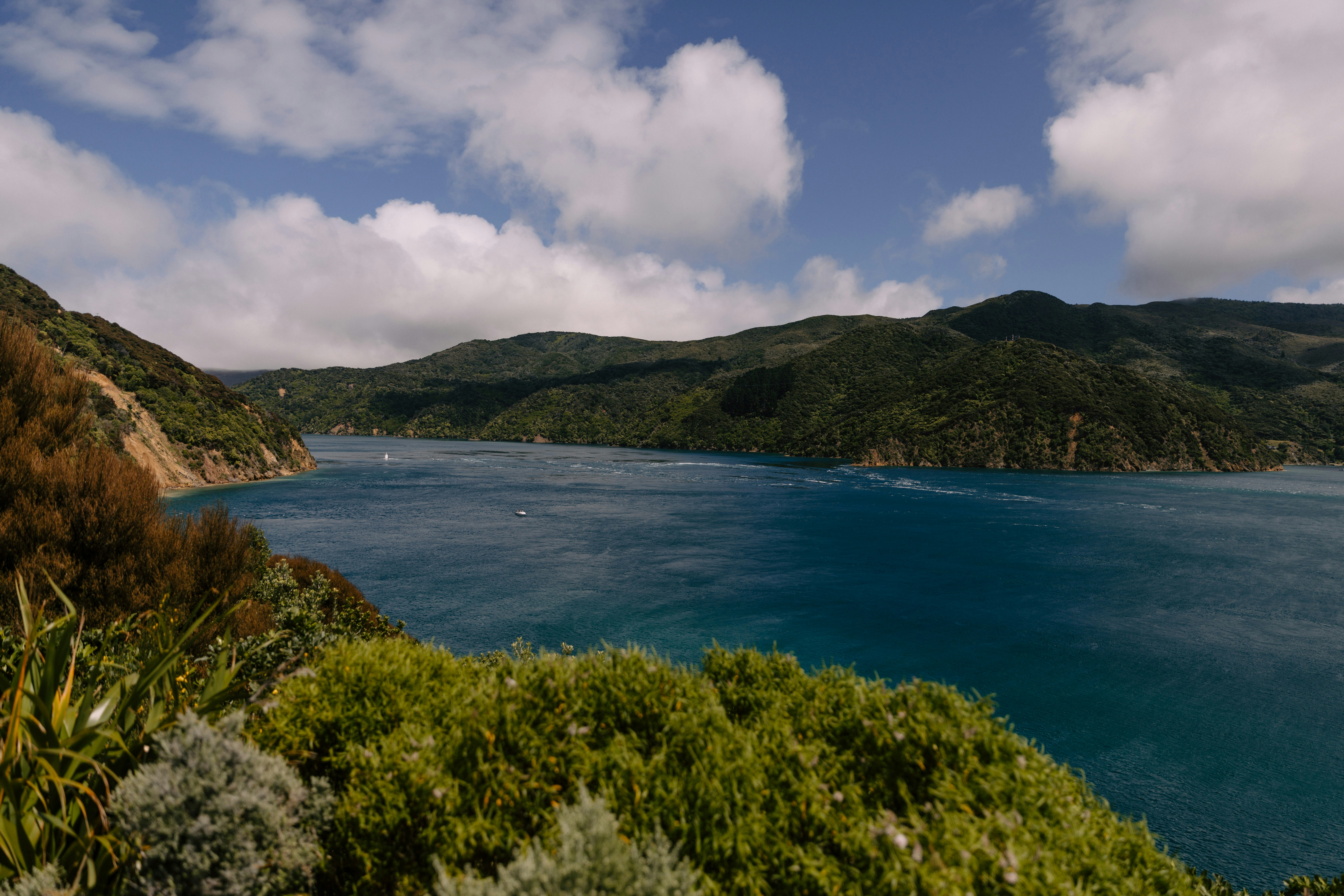 Photo by createinme_nz