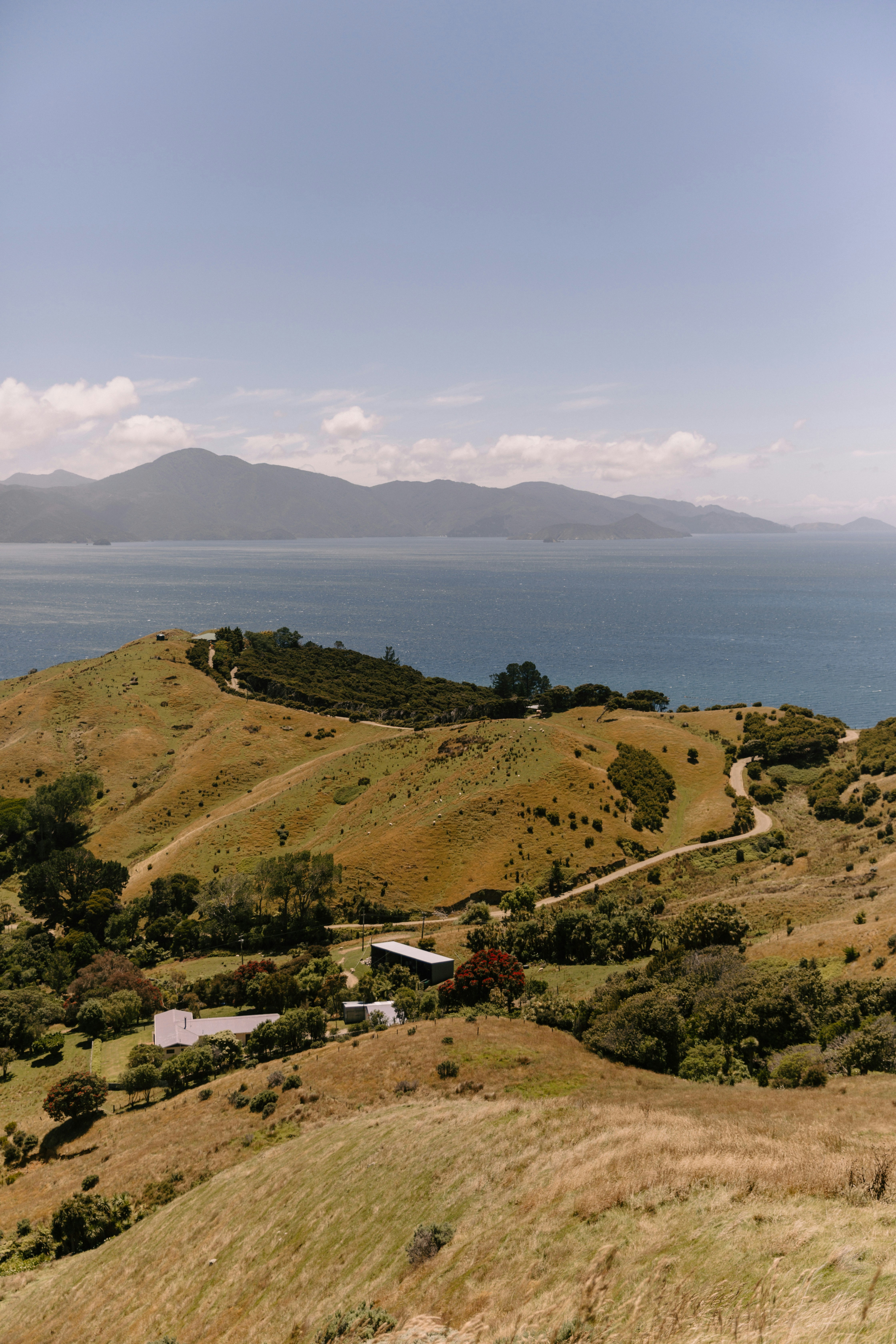 Photo by createinme_nz