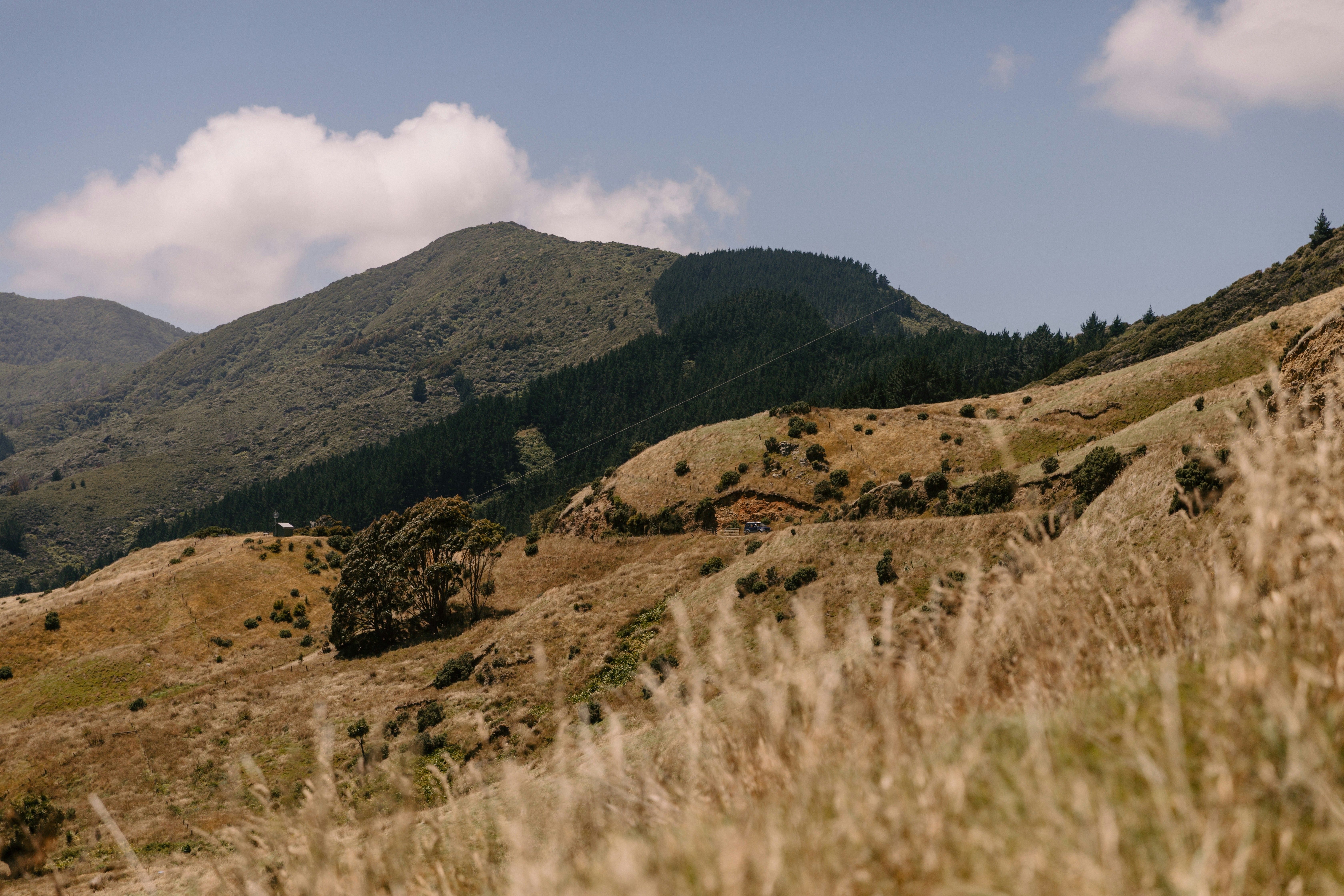 Photo by createinme_nz