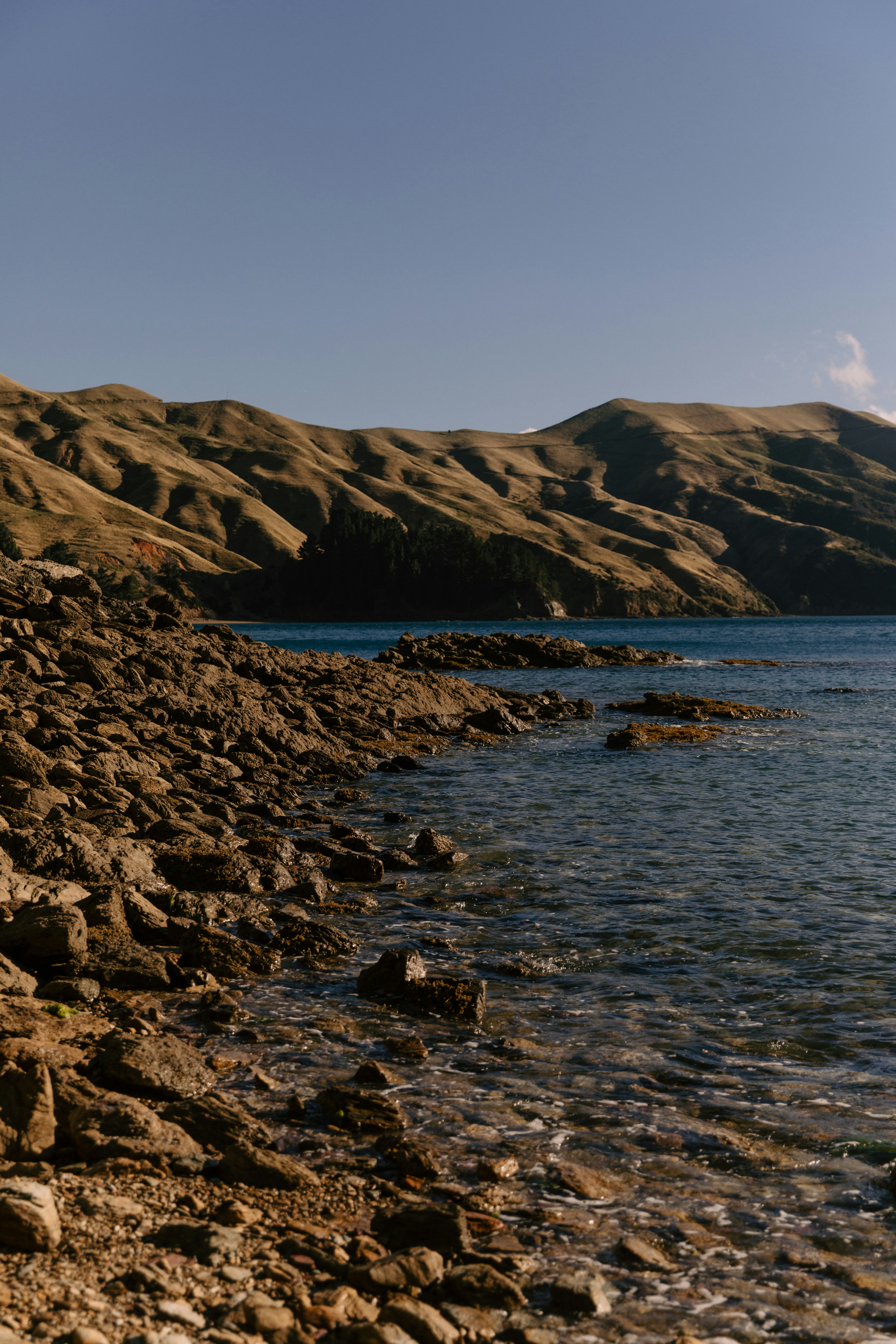 Photo by createinme_nz