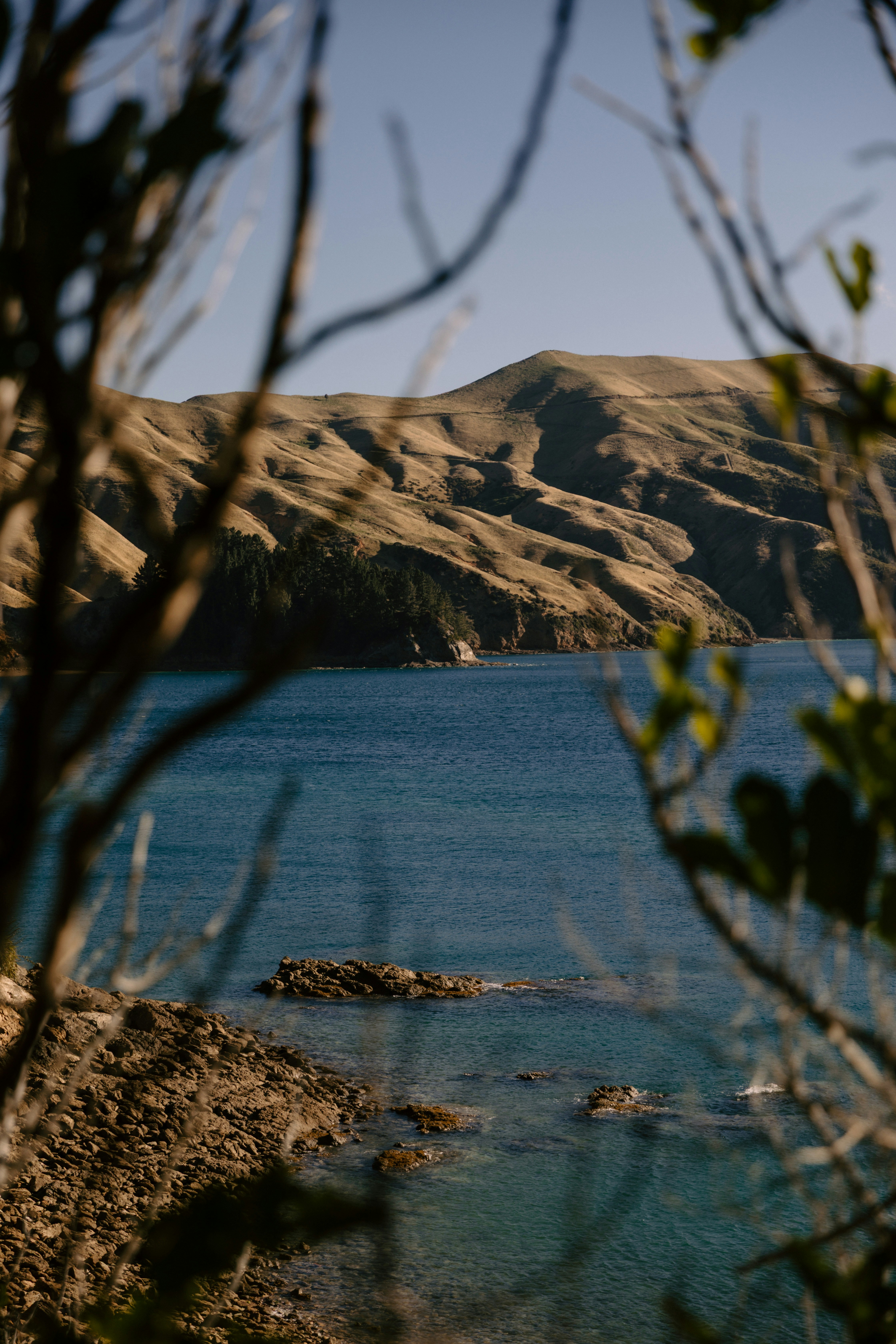 Photo by createinme_nz