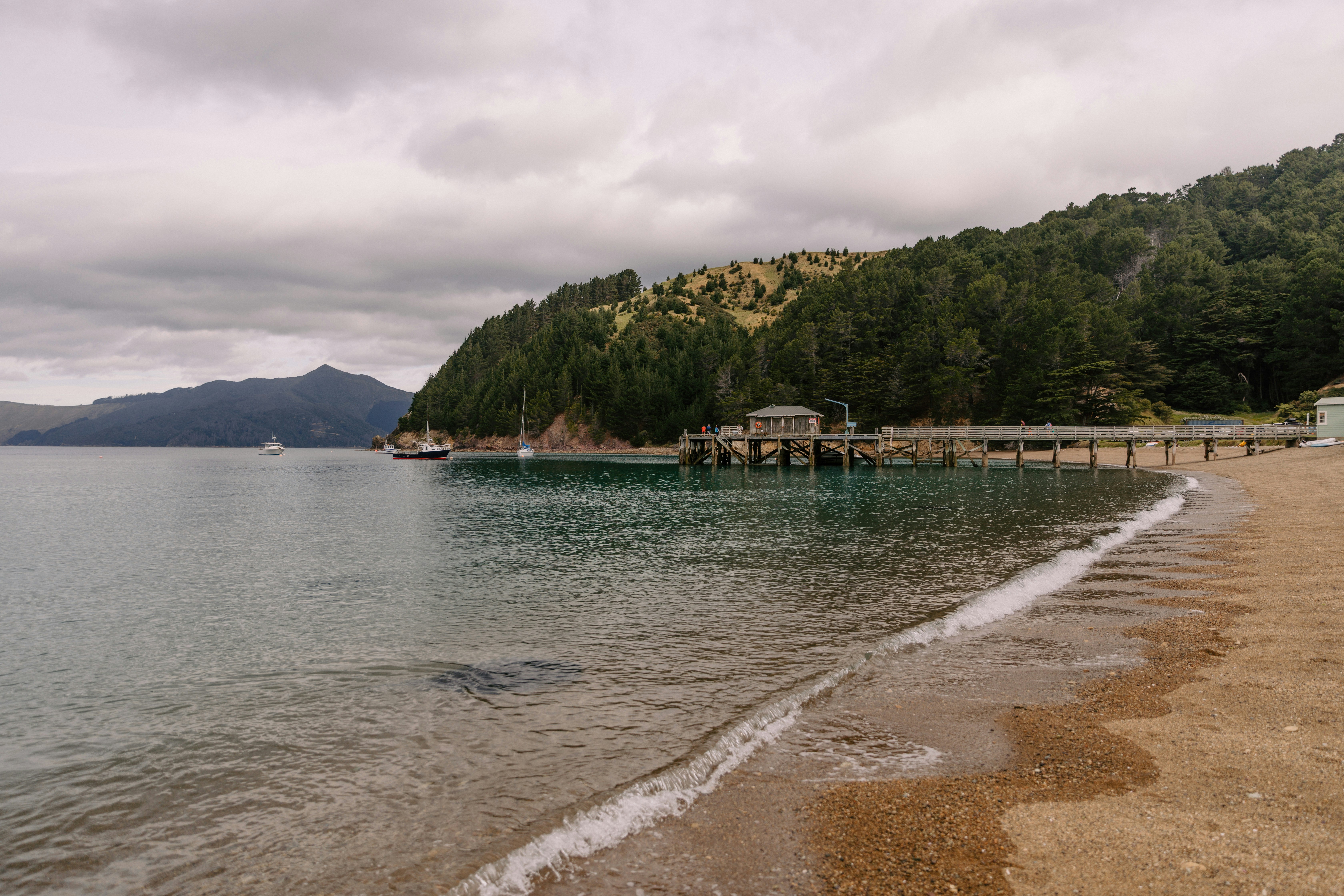 Portage Bay Beach view 2