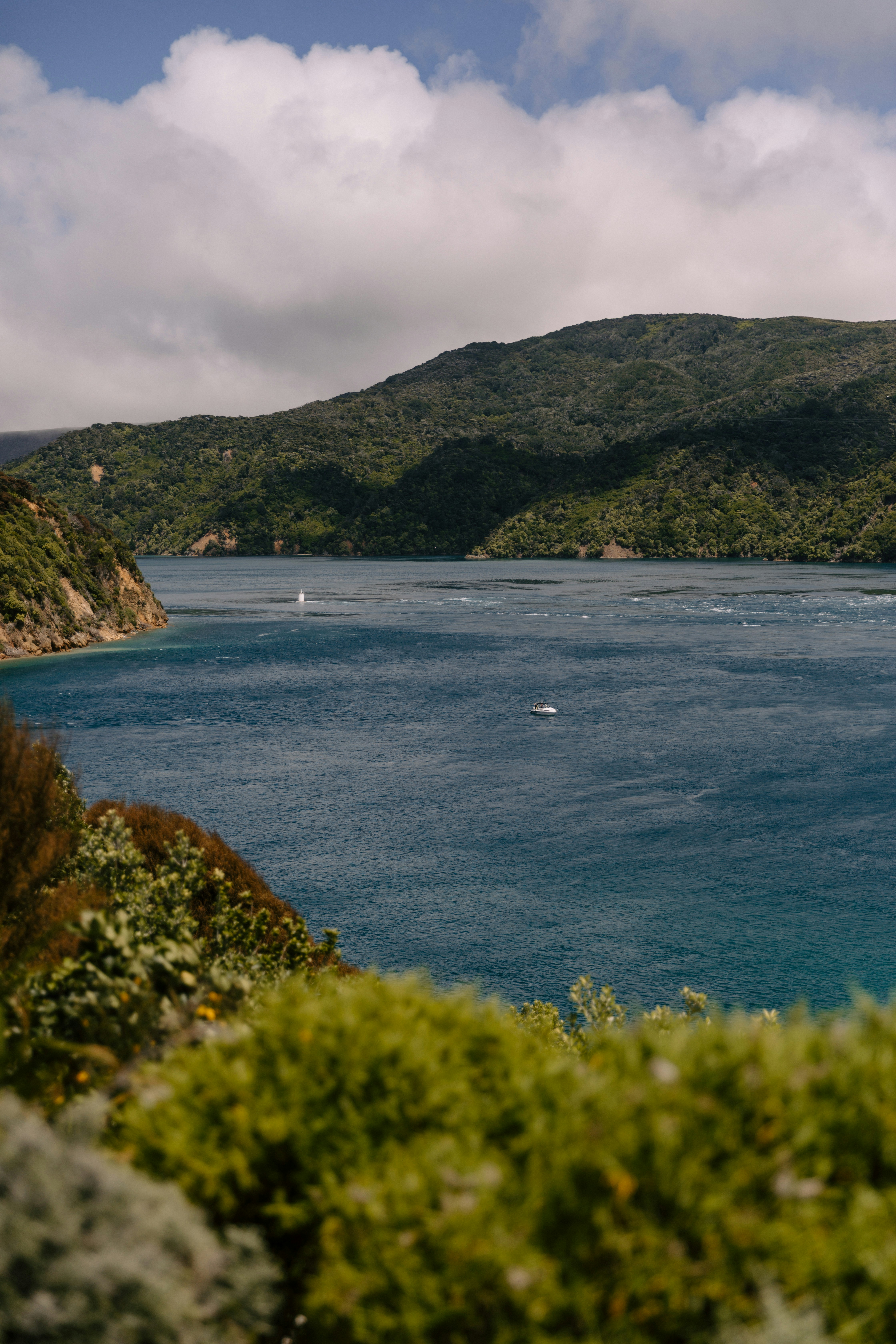 Photo by createinme_nz
