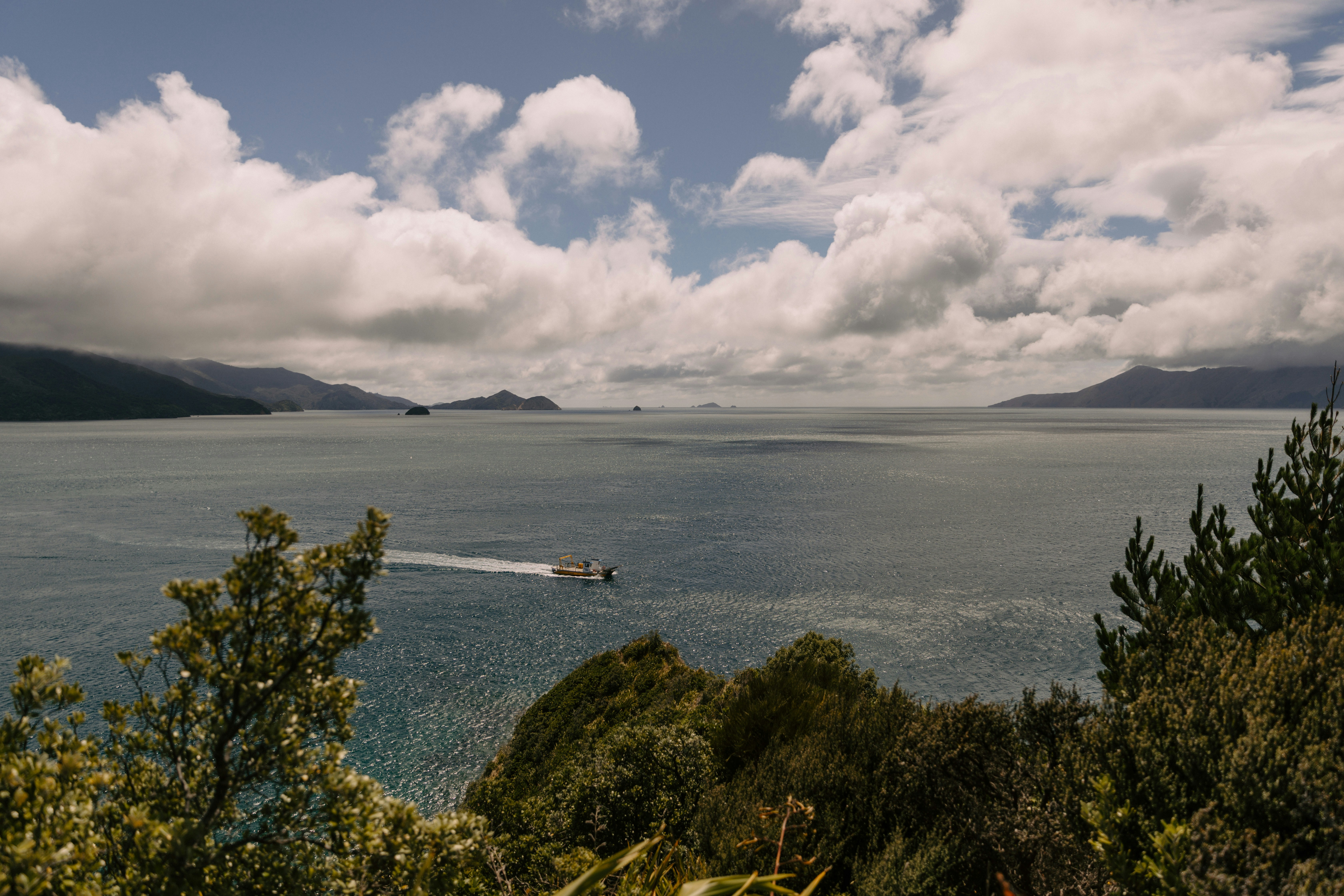 Photo by createinme_nz