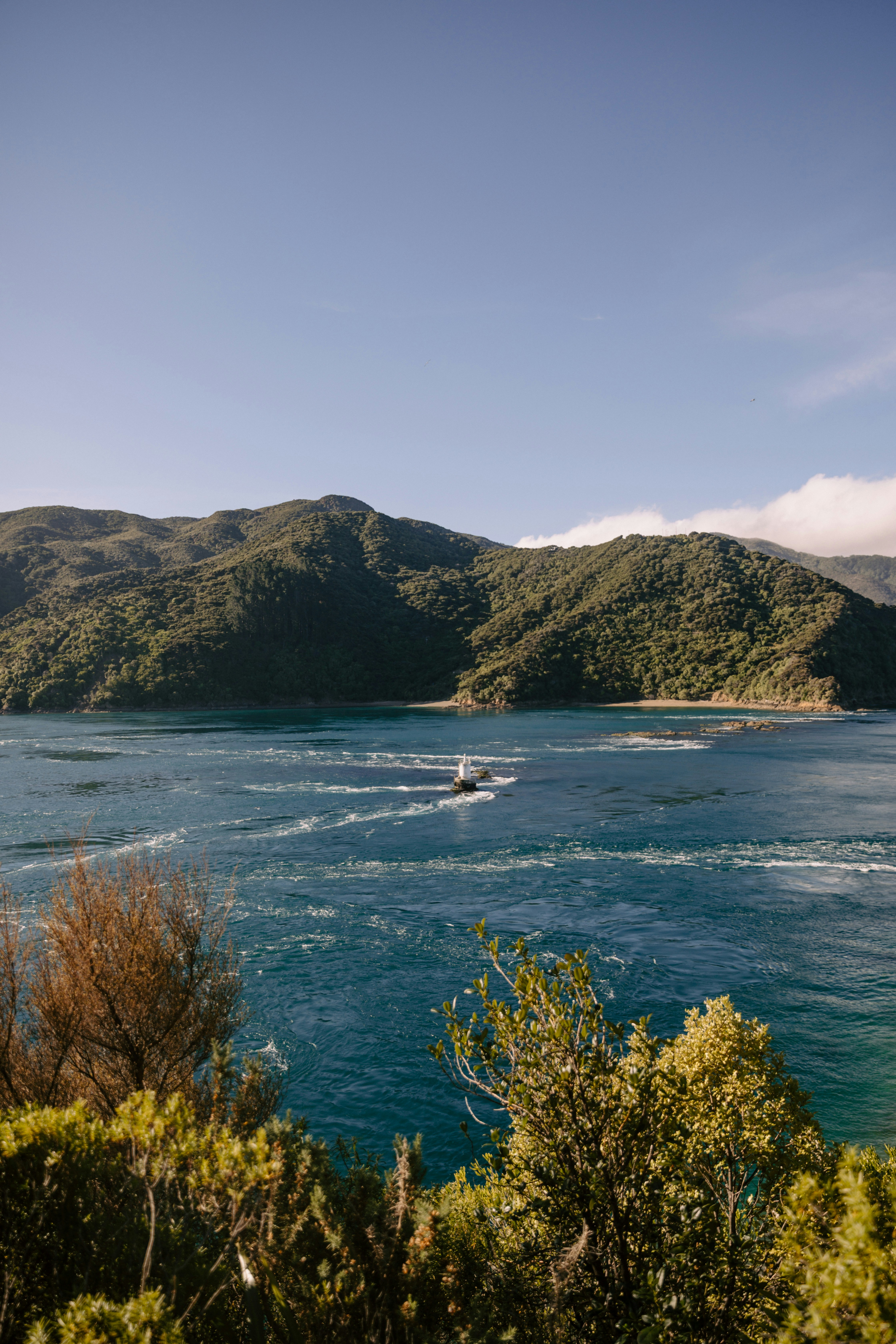 Photo by createinme_nz