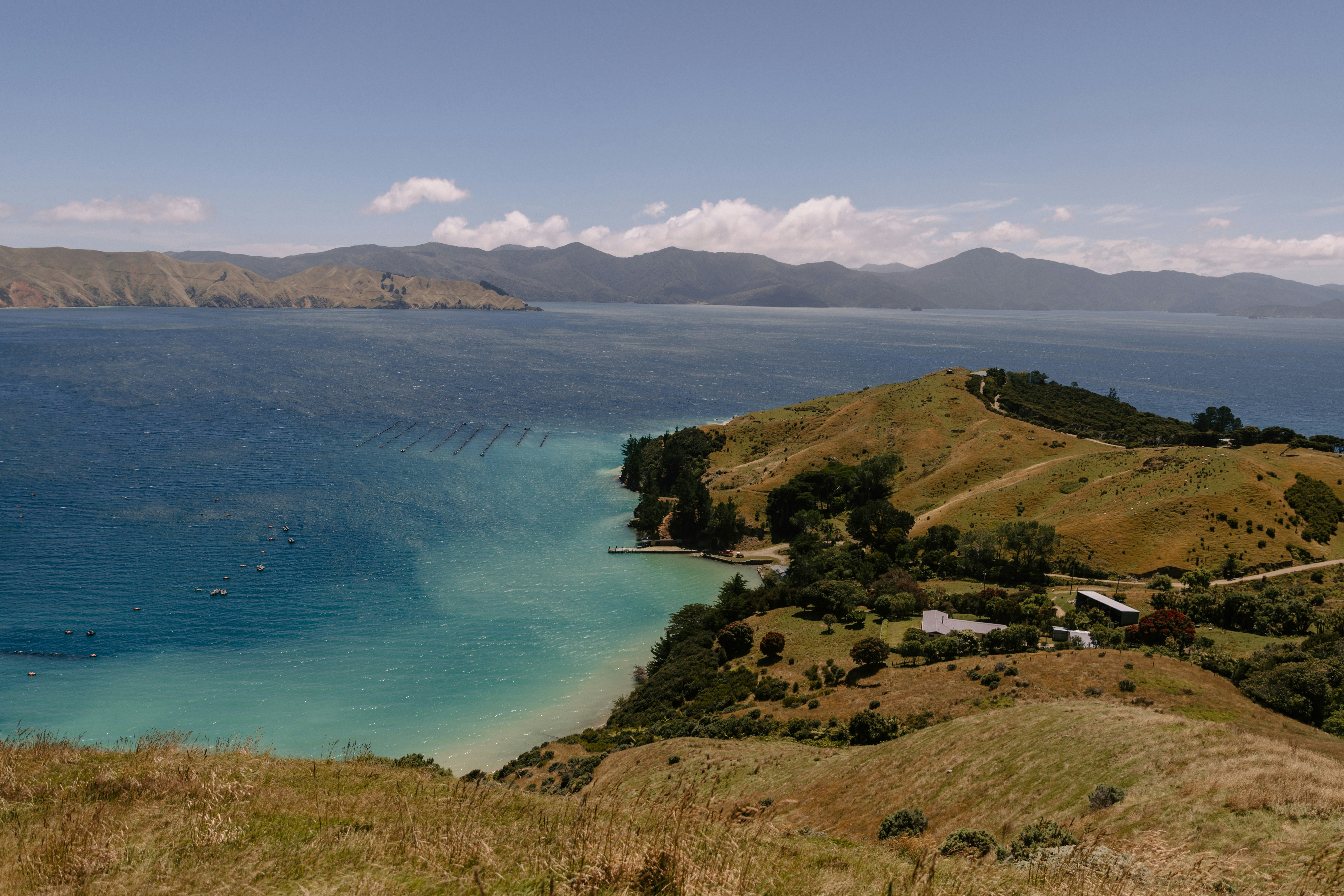 Photo by createinme_nz