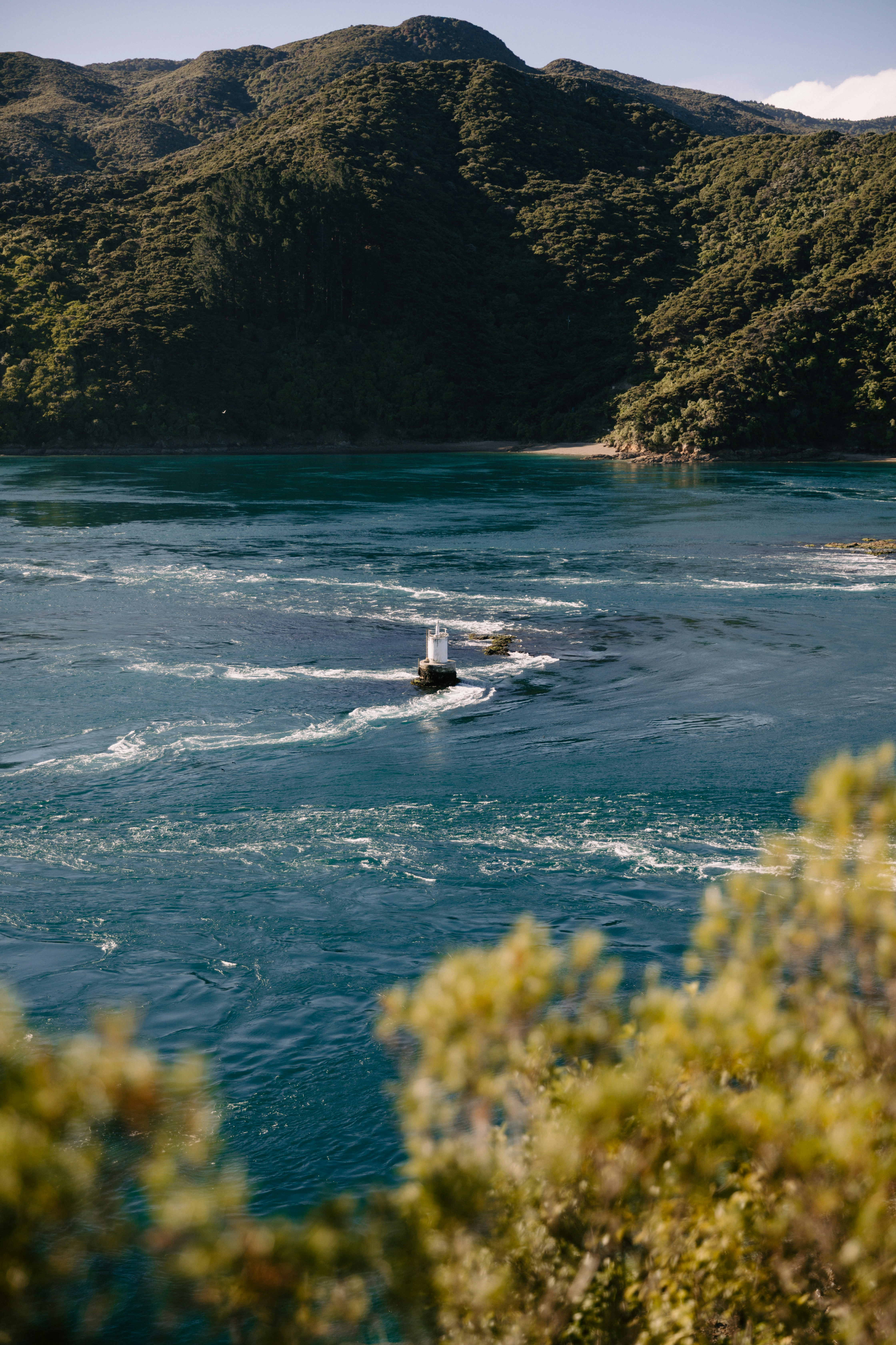 Photo by createinme_nz