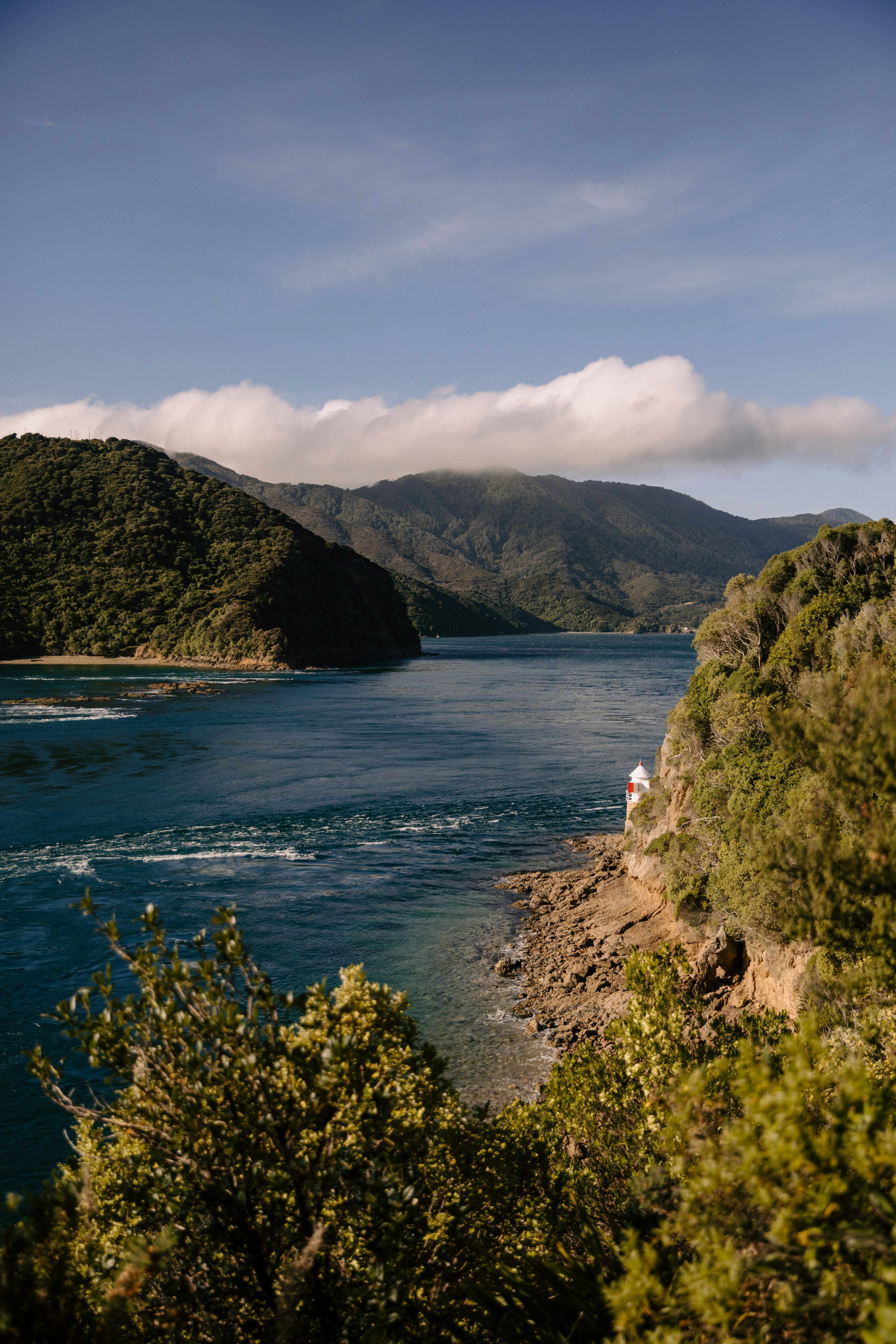 Photo by createinme_nz