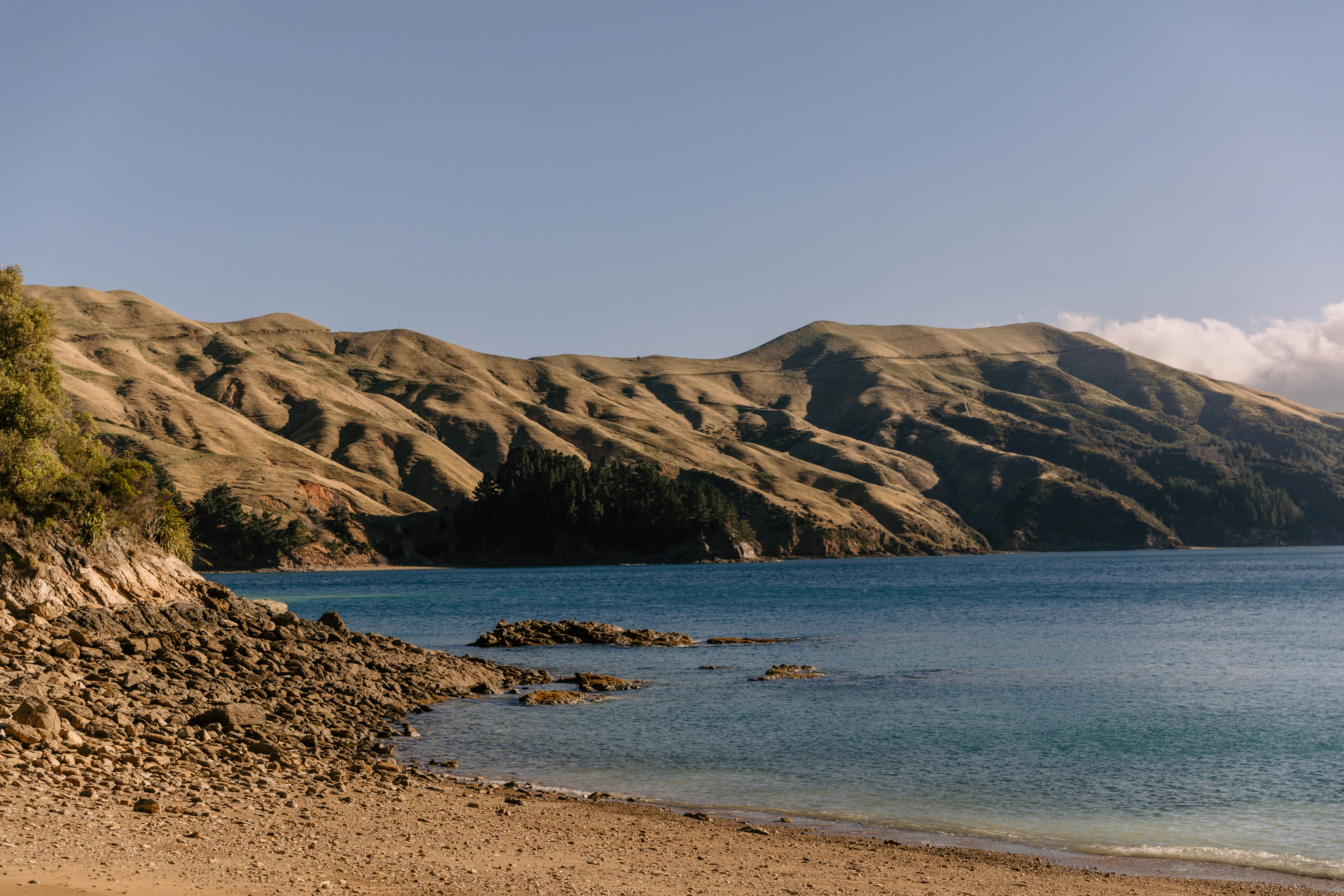 Photo by createinme_nz