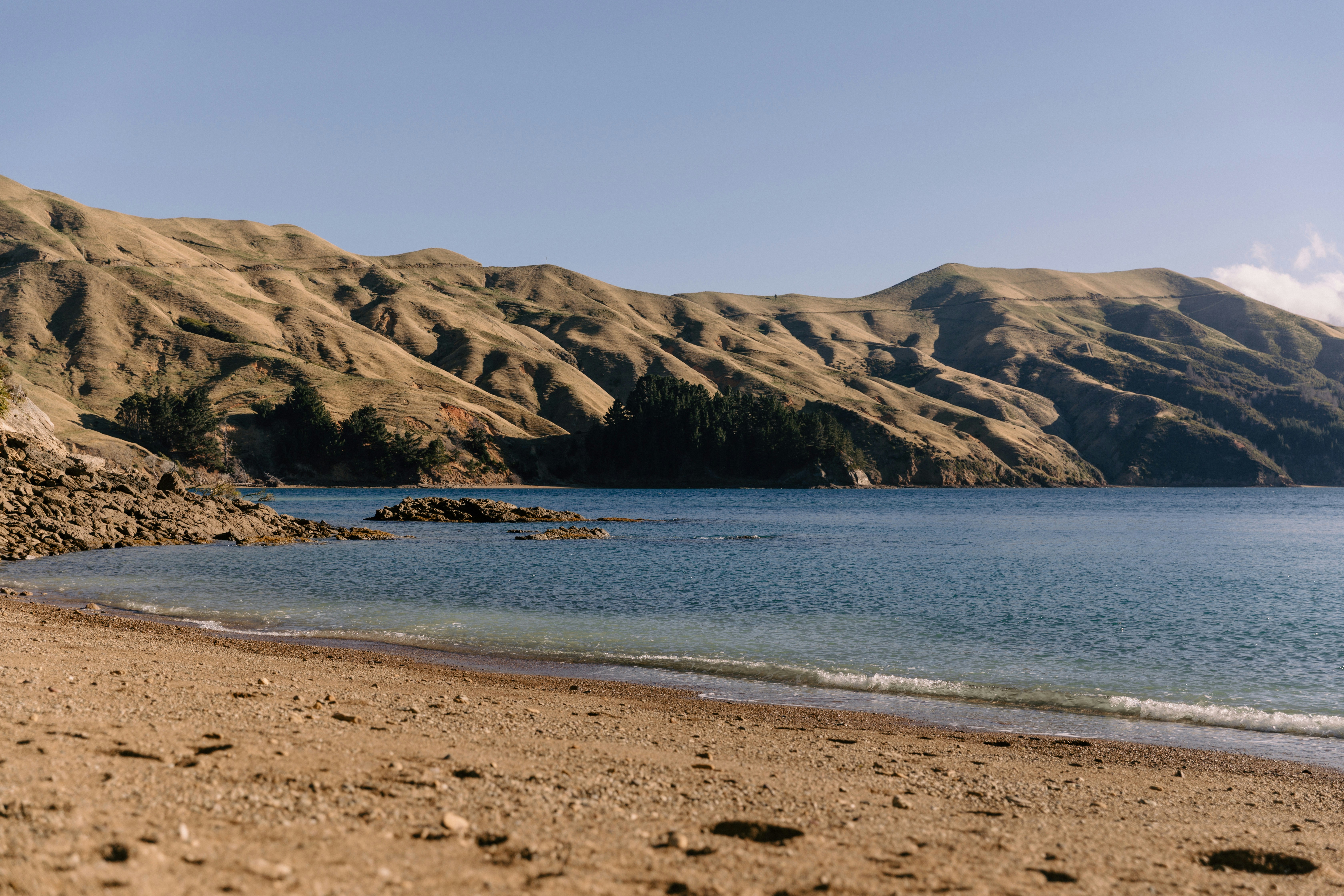 Photo by createinme_nz