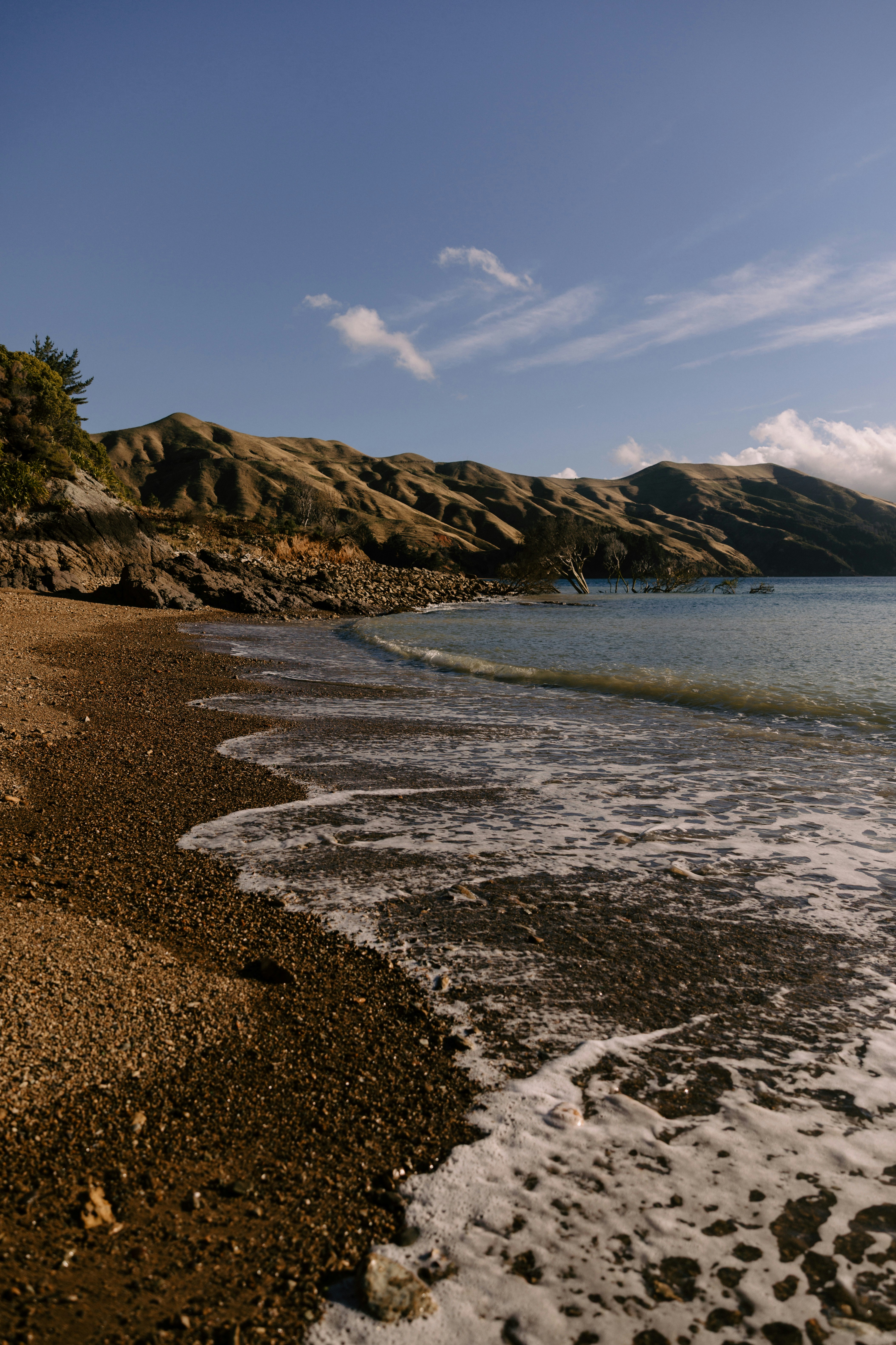Photo by createinme_nz