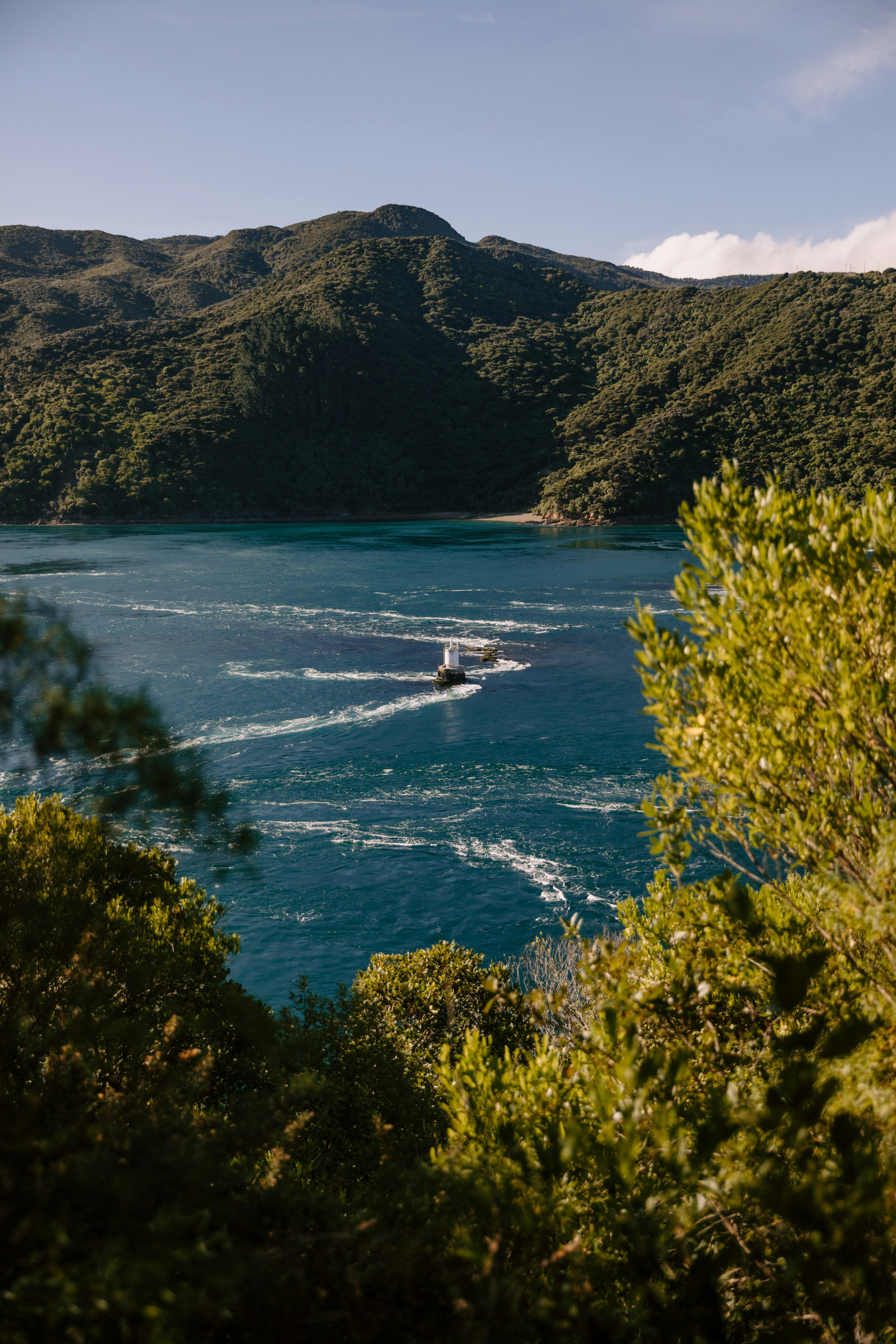 Photo by createinme_nz