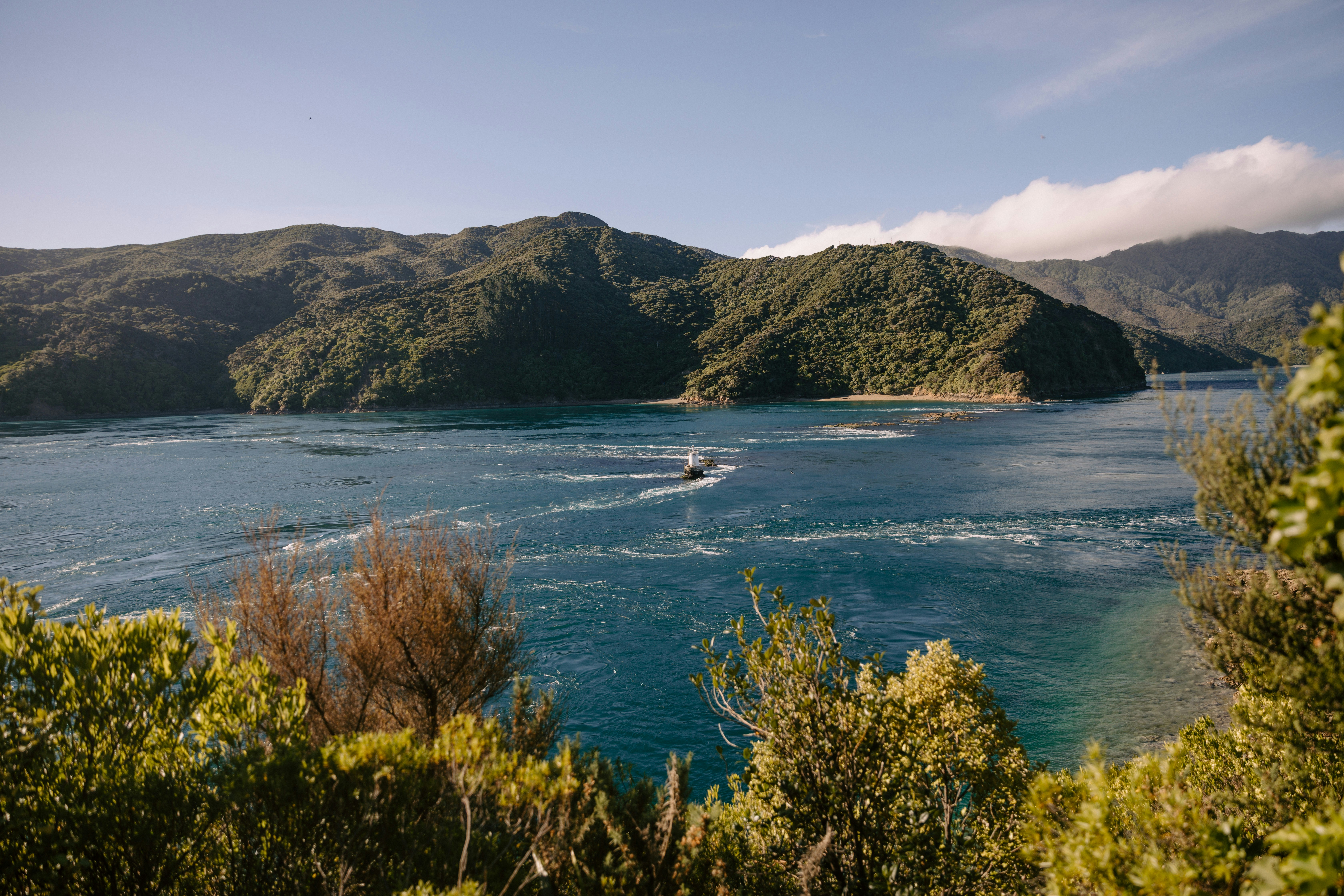 Photo by createinme_nz