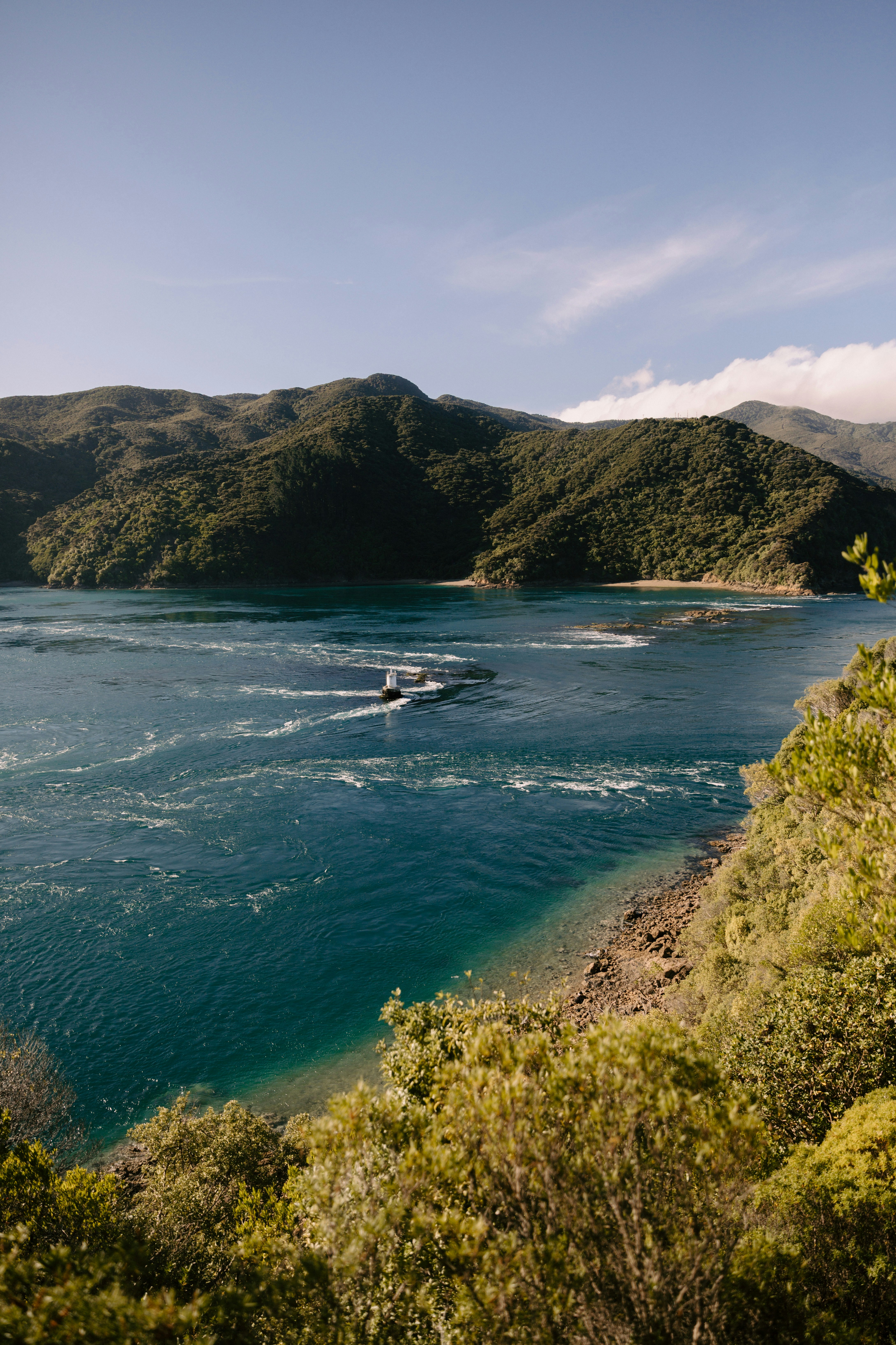 Photo by createinme_nz