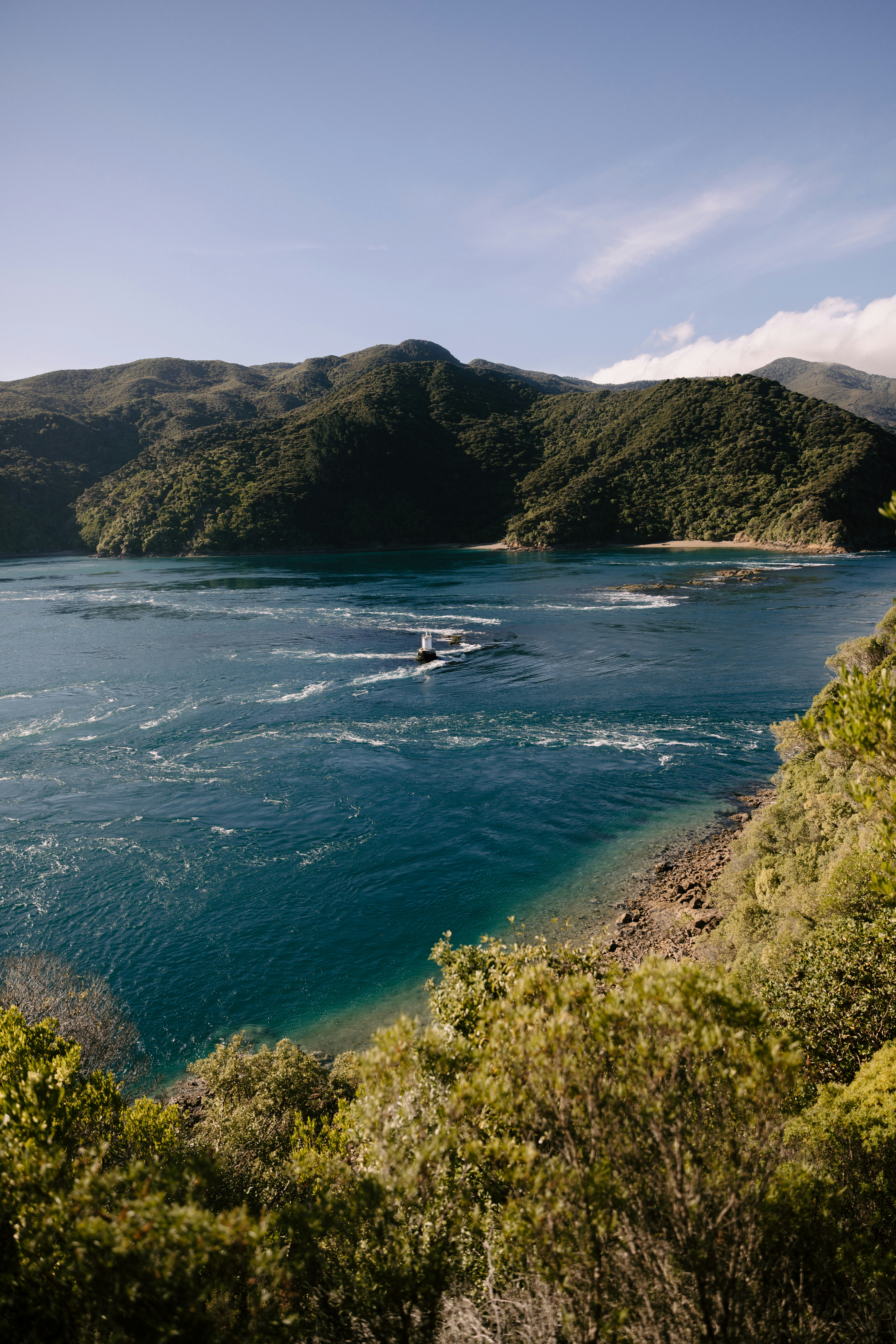 Photo by createinme_nz