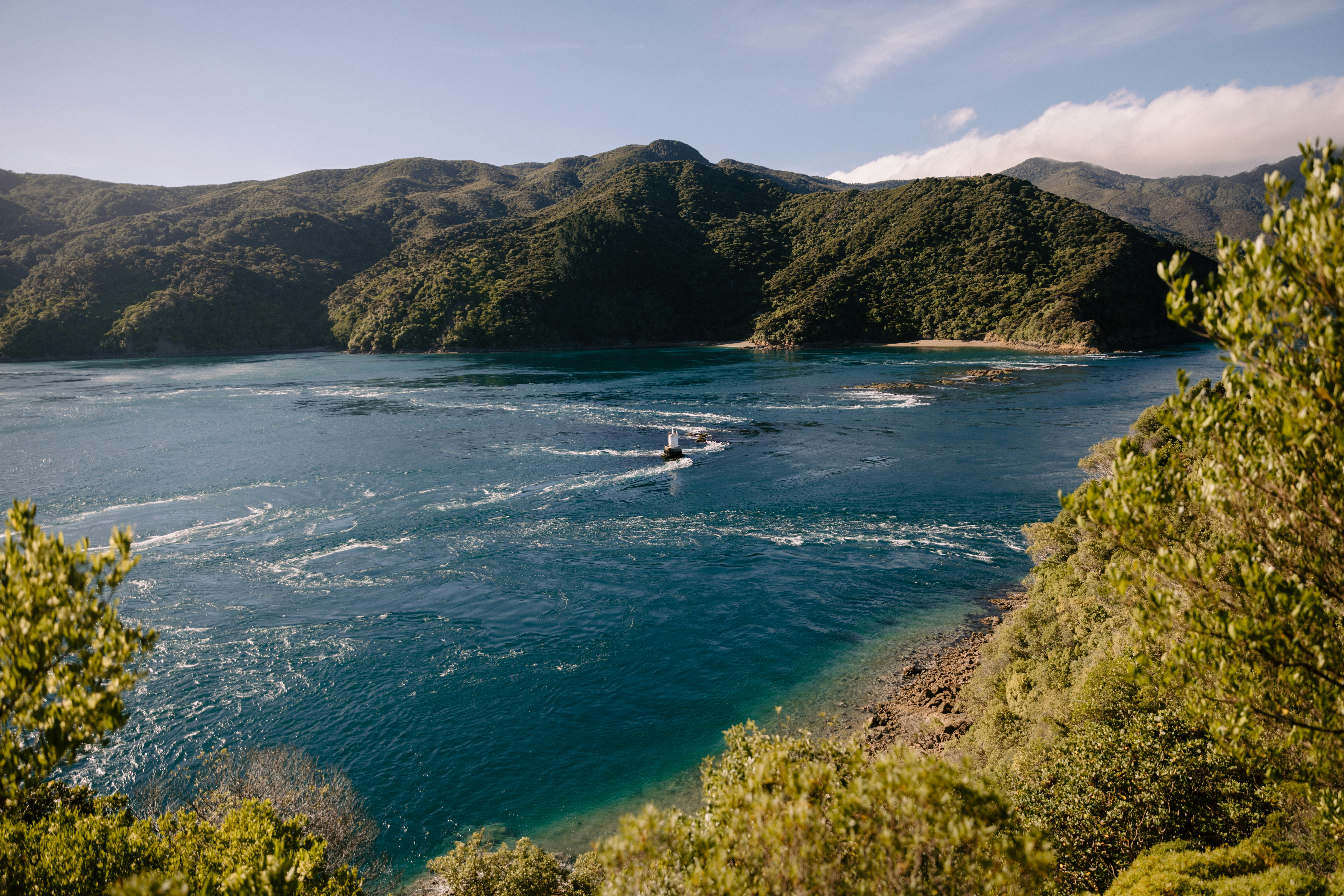 Photo by createinme_nz