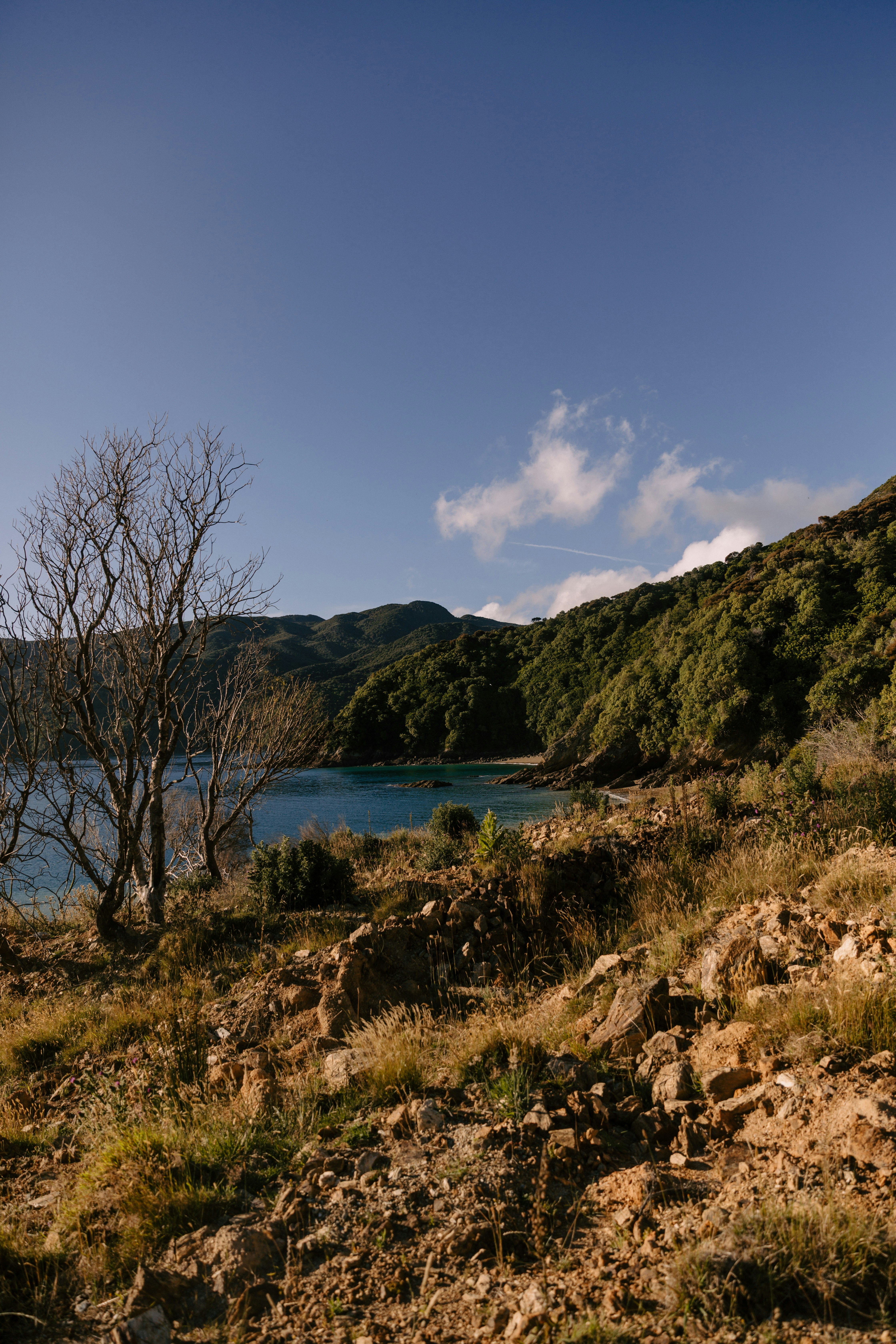 Photo by createinme_nz
