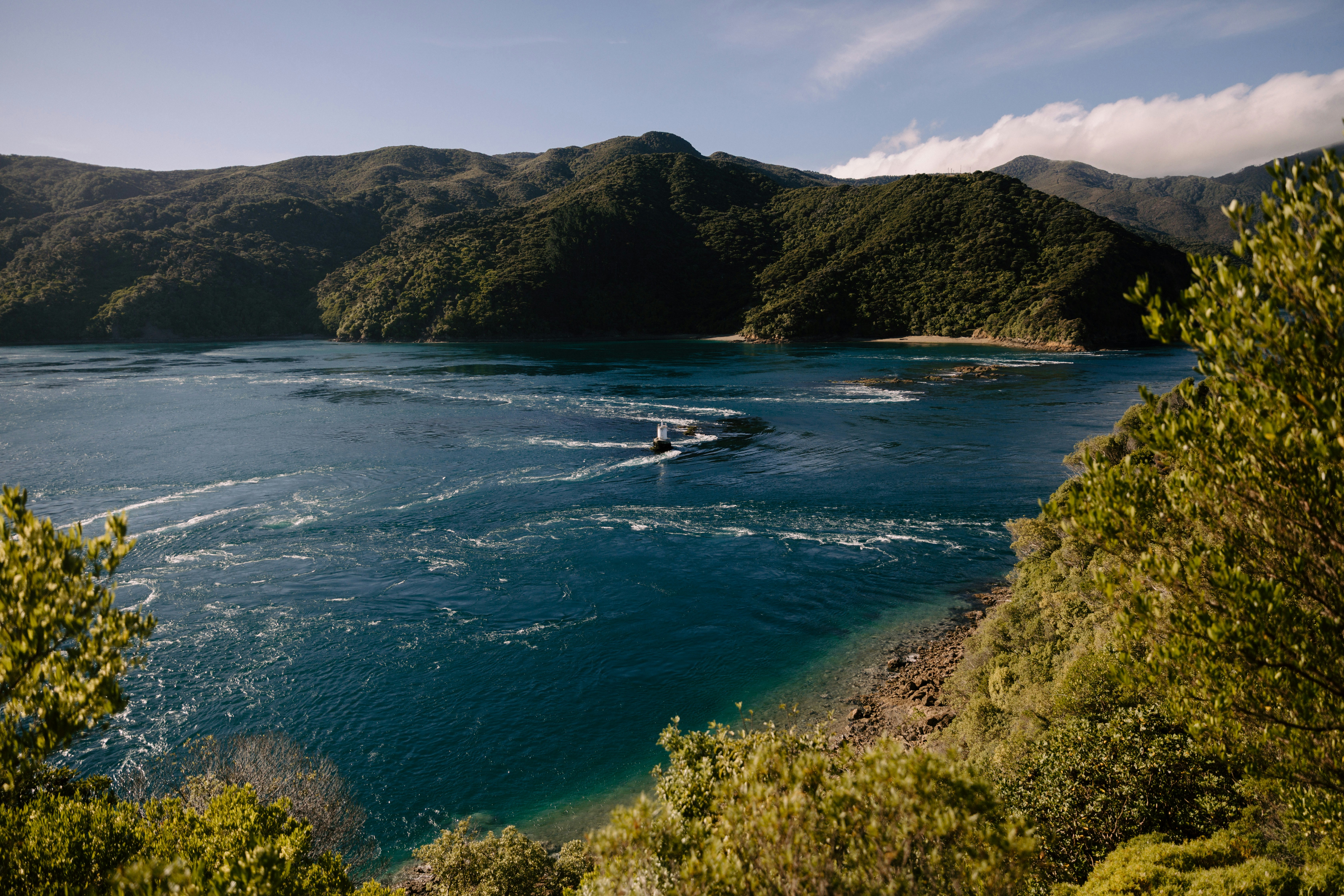 Photo by createinme_nz