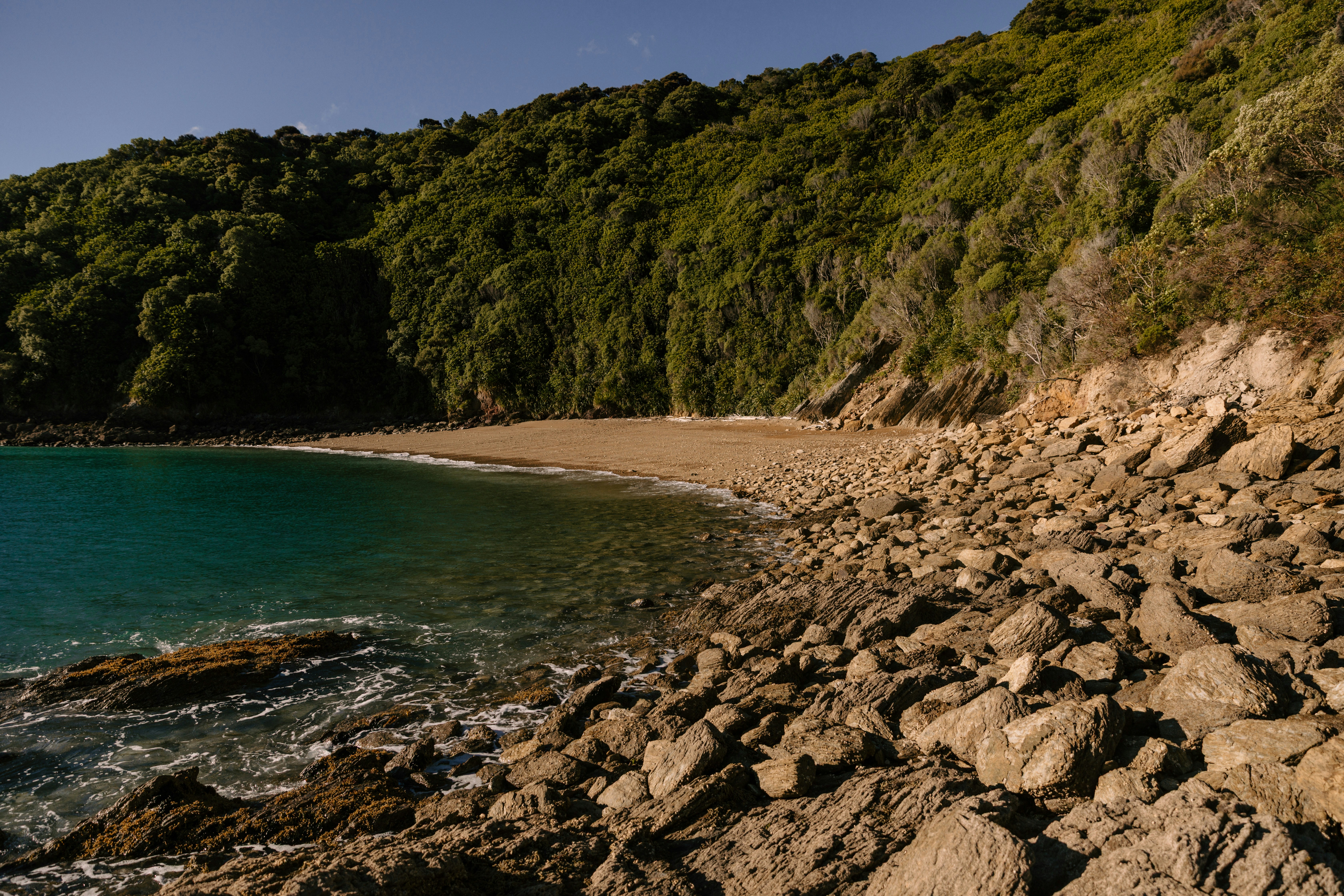 Photo by createinme_nz