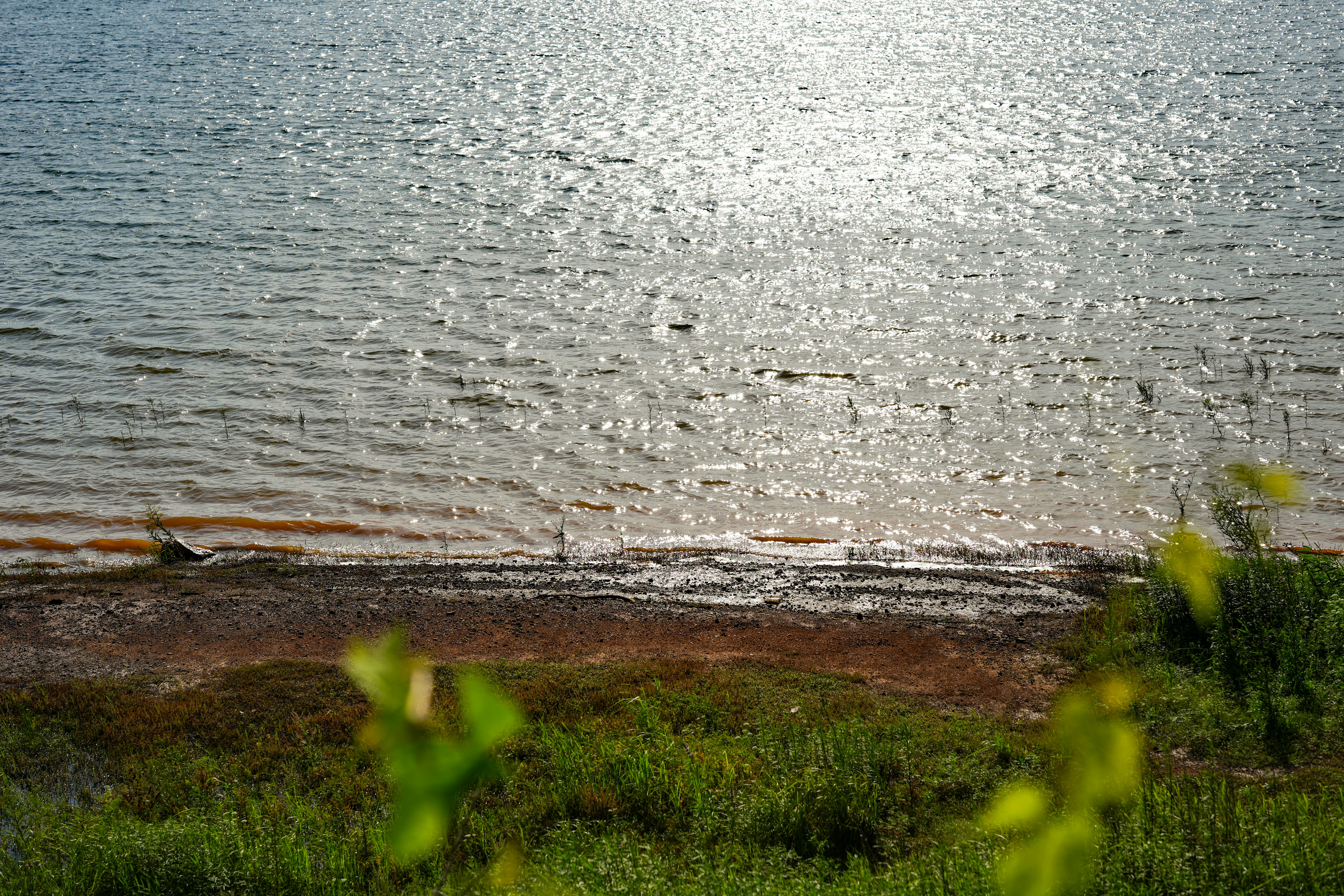 Água cintilante reflete a luz do sol em uma praia arenosa.