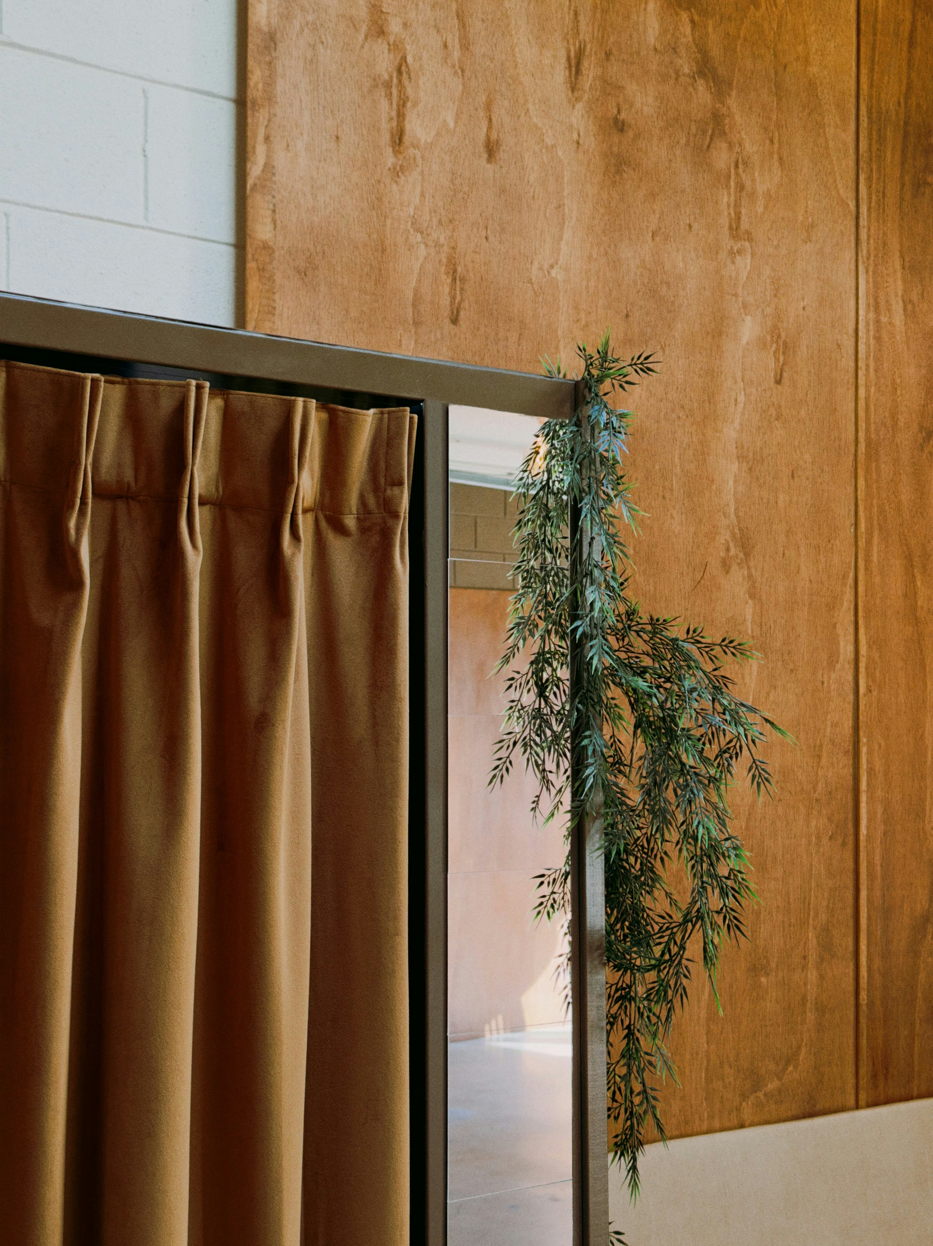 Brown curtains and greenery against wood paneling wall