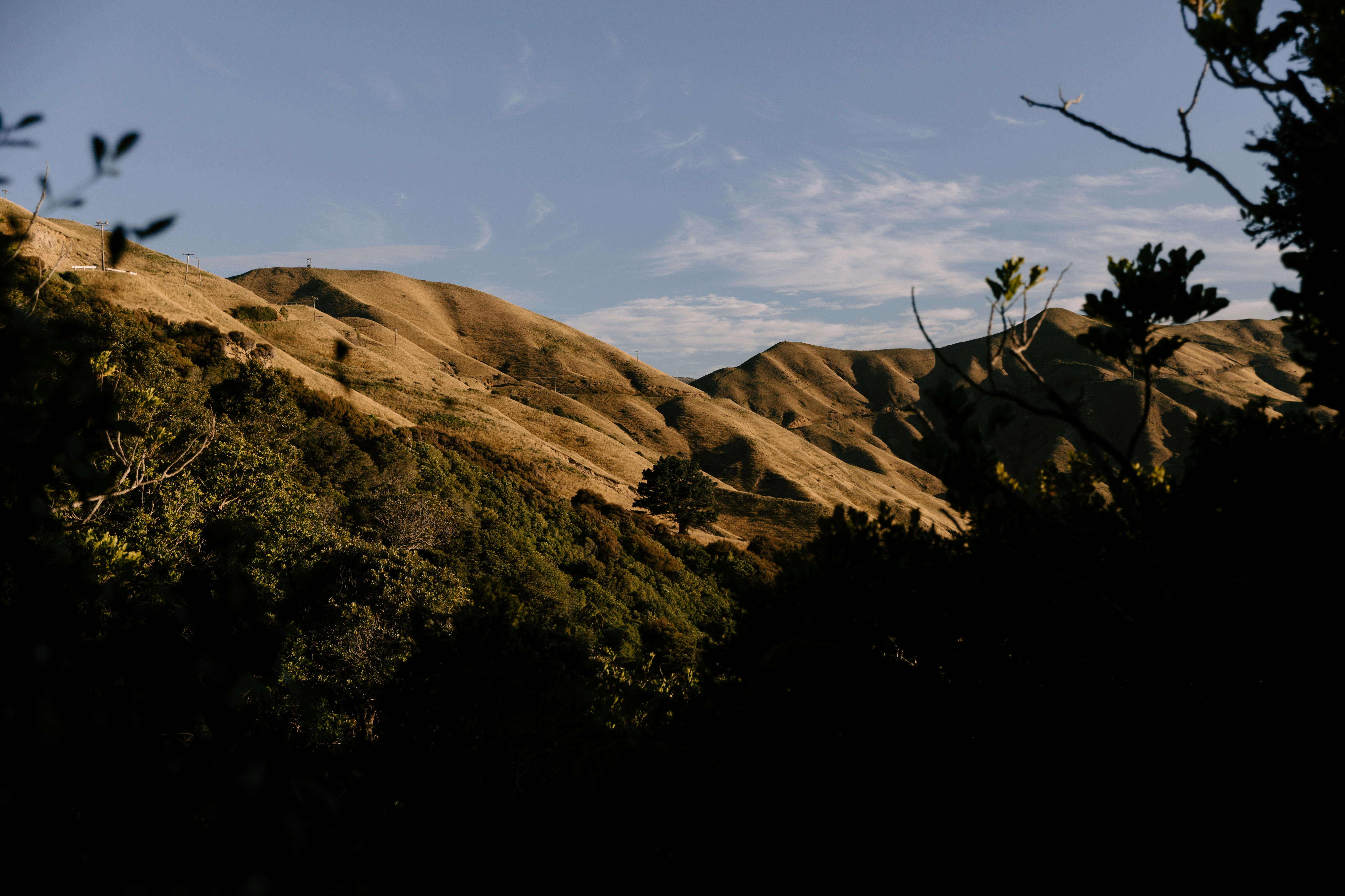 Photo by createinme_nz