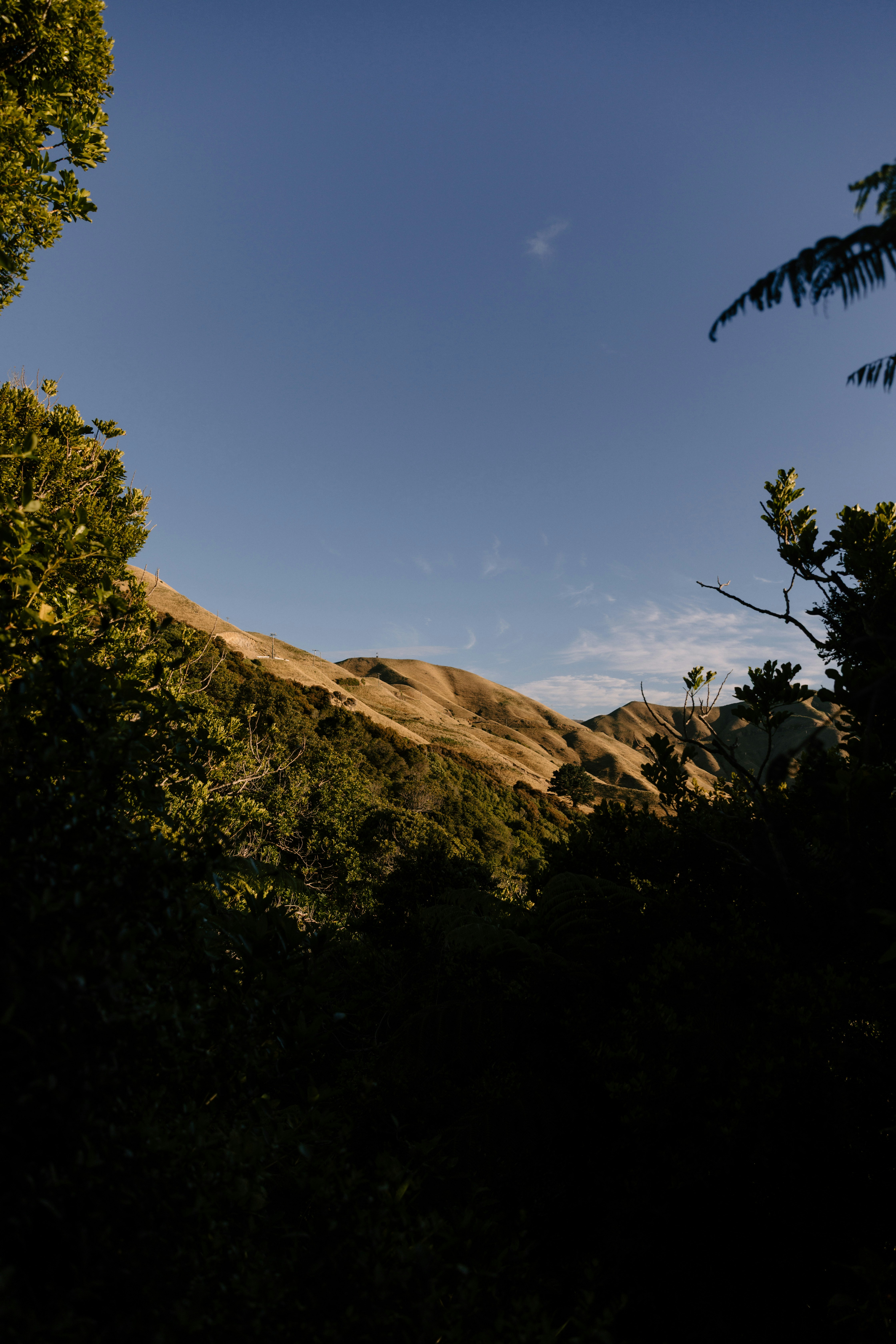 Photo by createinme_nz
