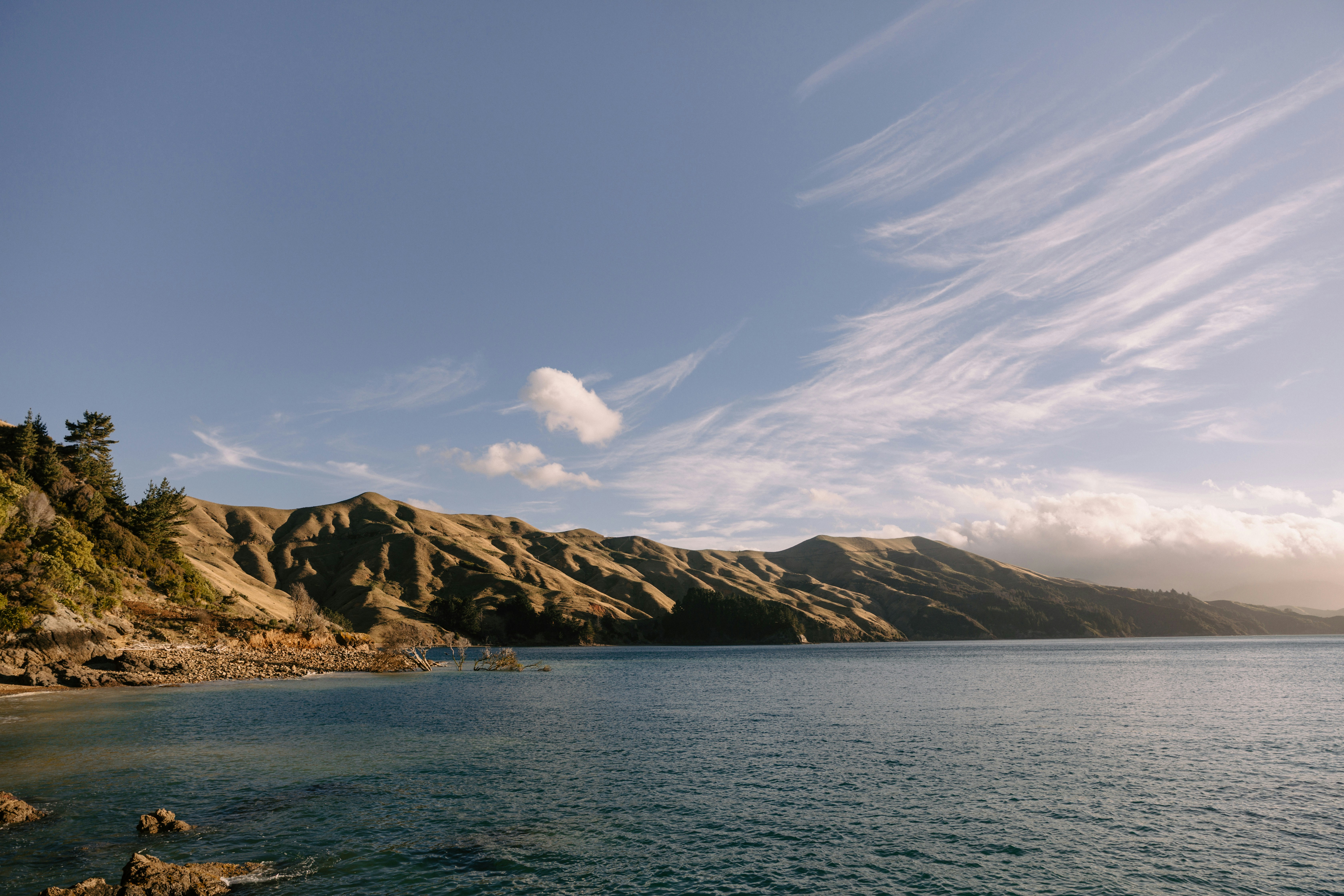 Photo by createinme_nz