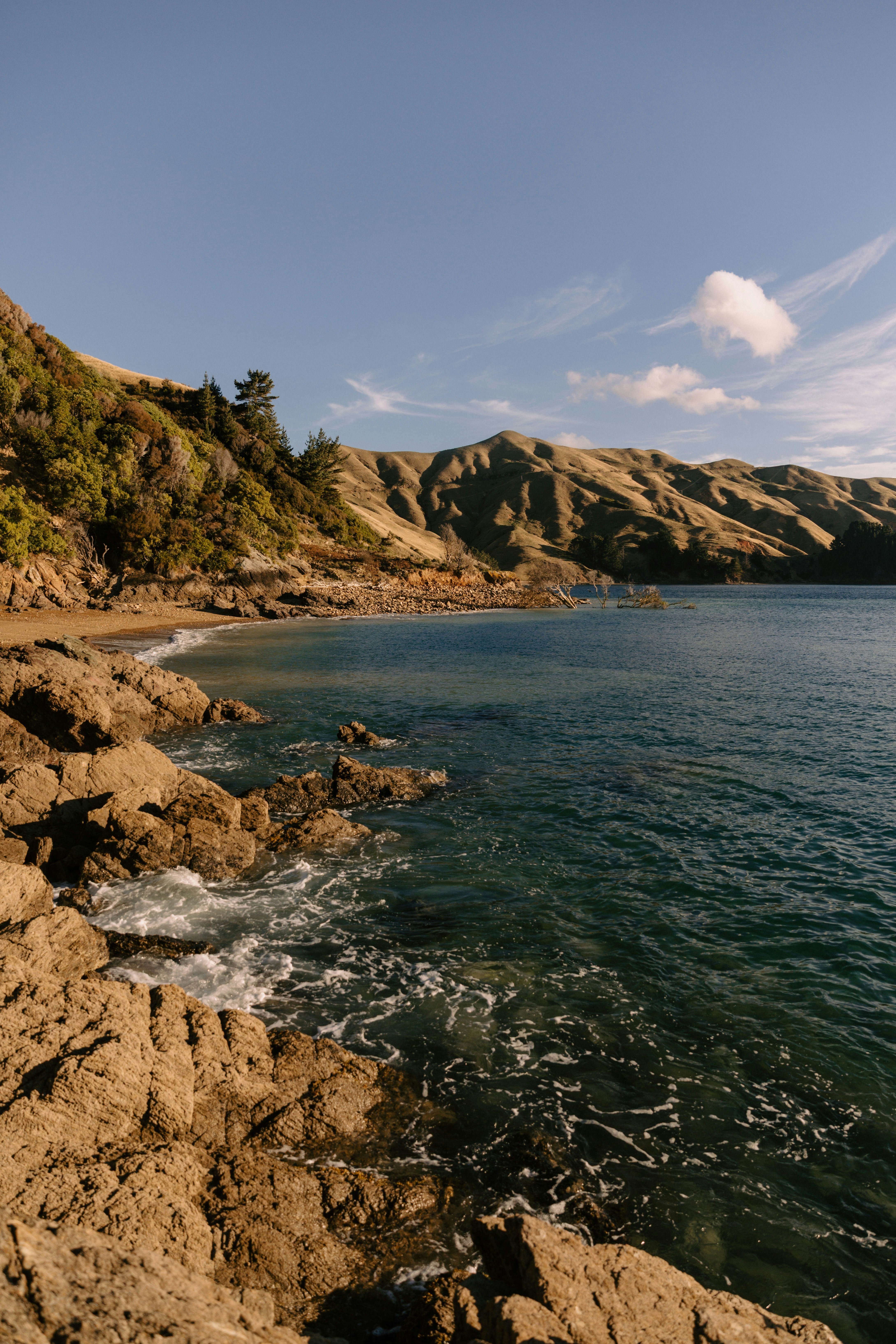 Photo by createinme_nz