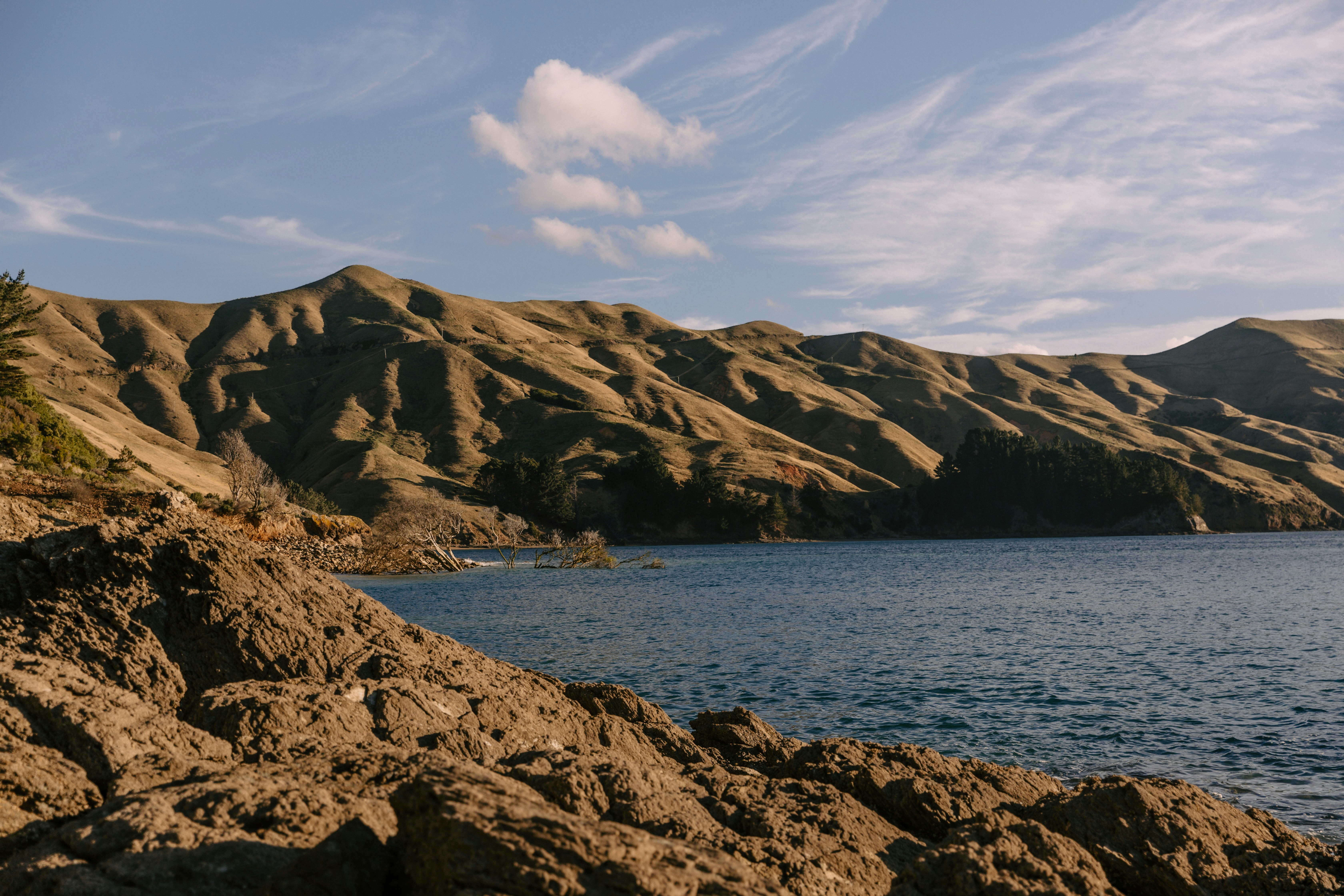 Photo by createinme_nz
