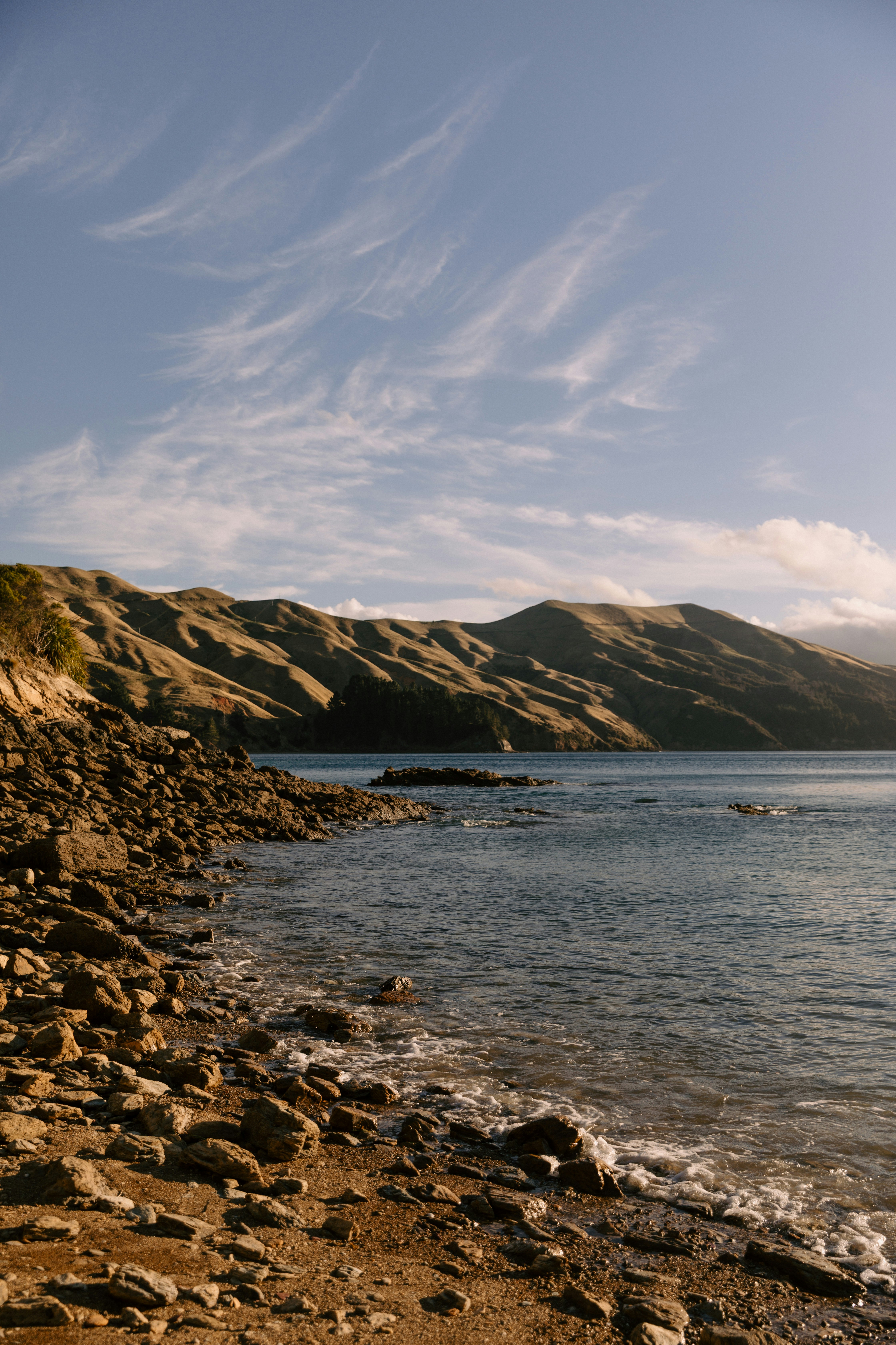 Photo by createinme_nz