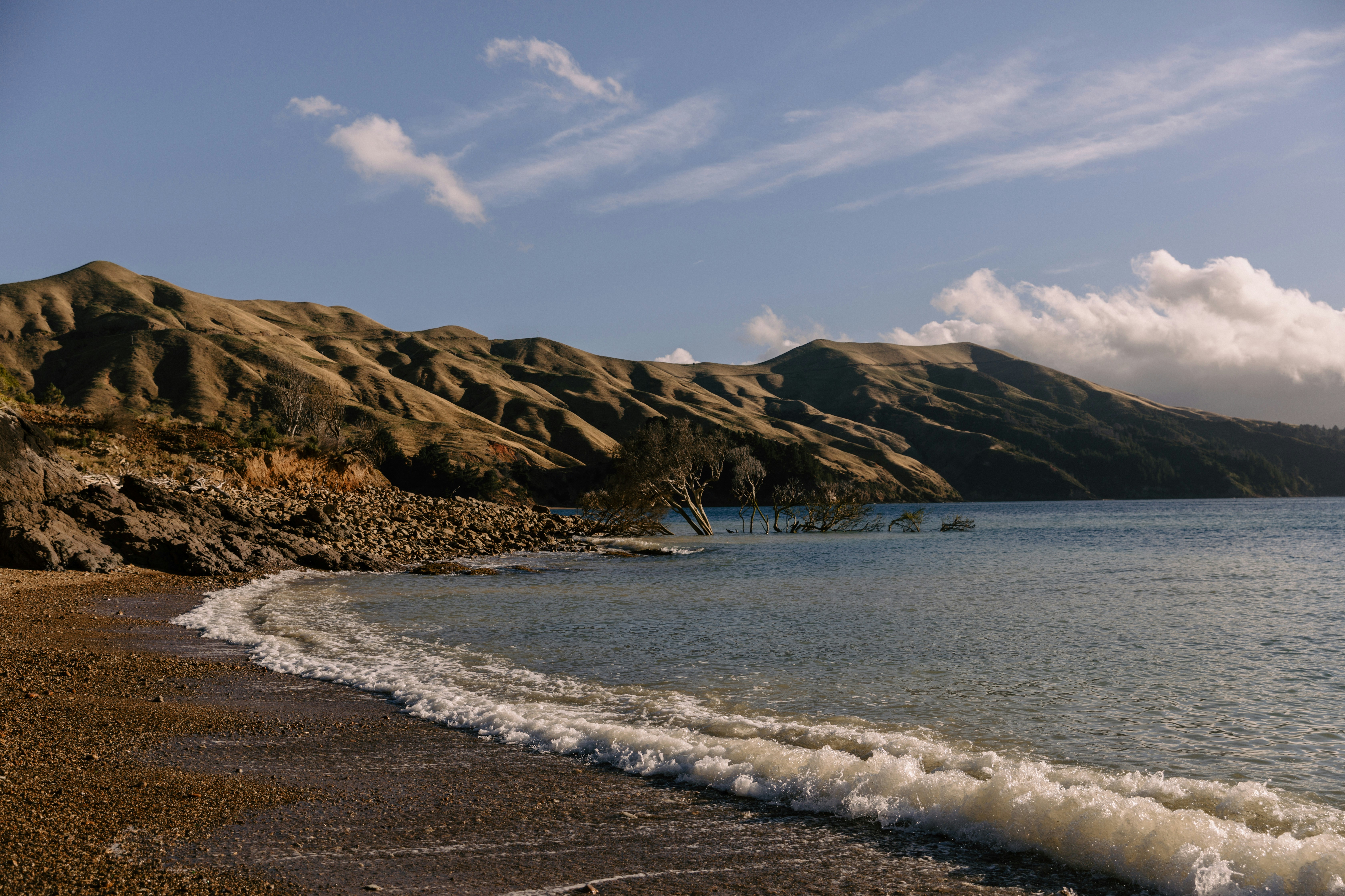 Photo by createinme_nz