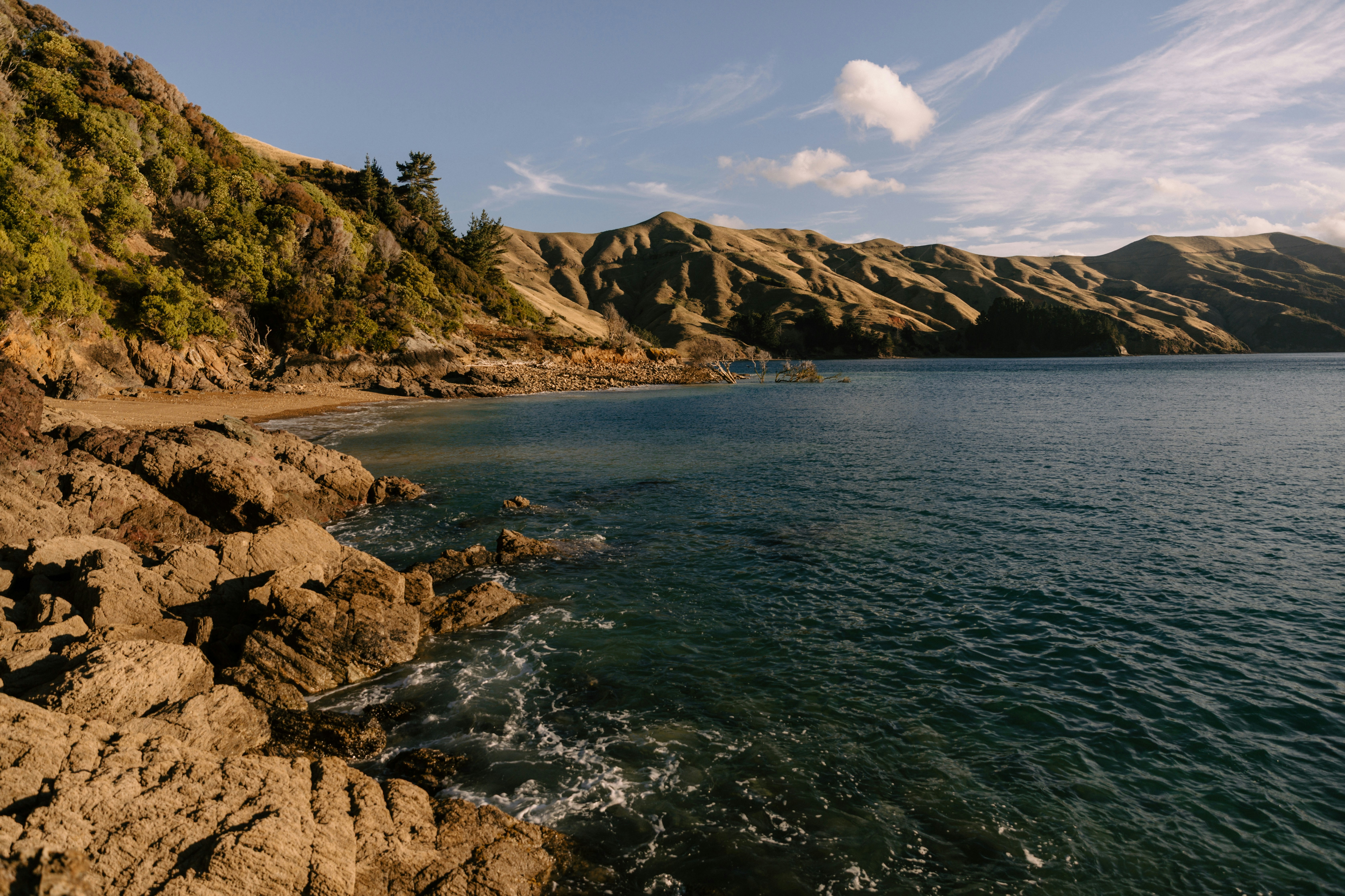 Photo by createinme_nz