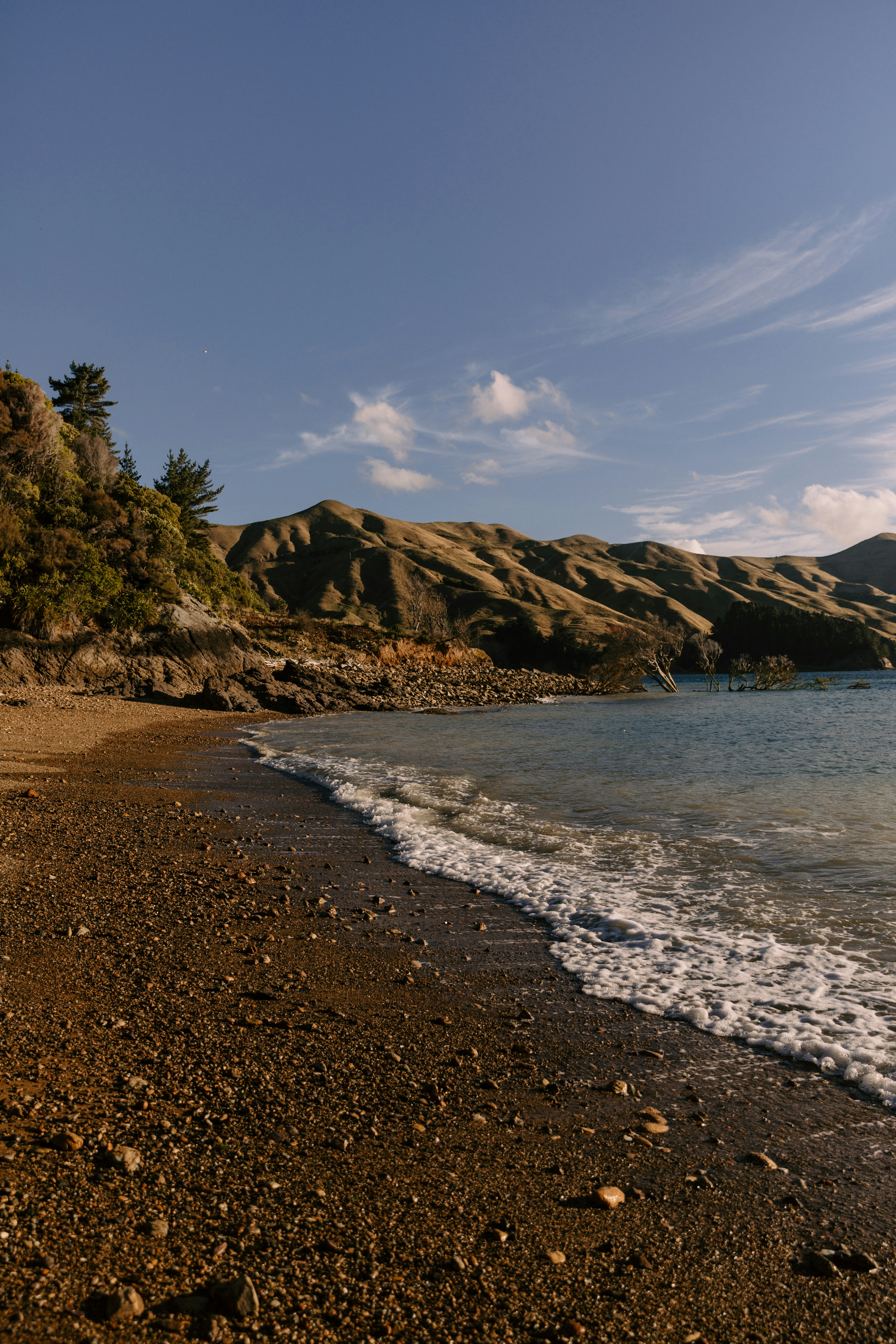 Photo by createinme_nz