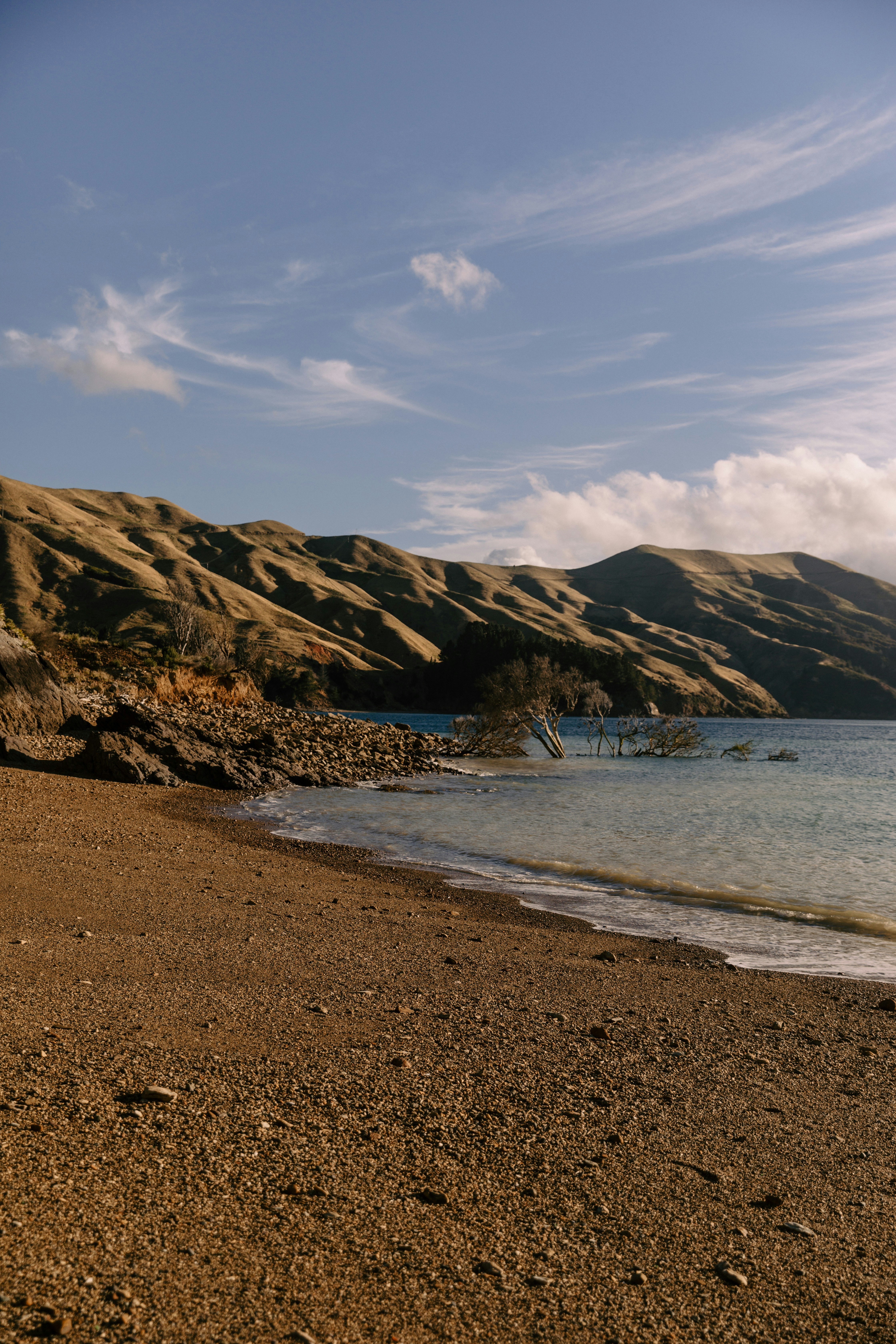 Photo by createinme_nz