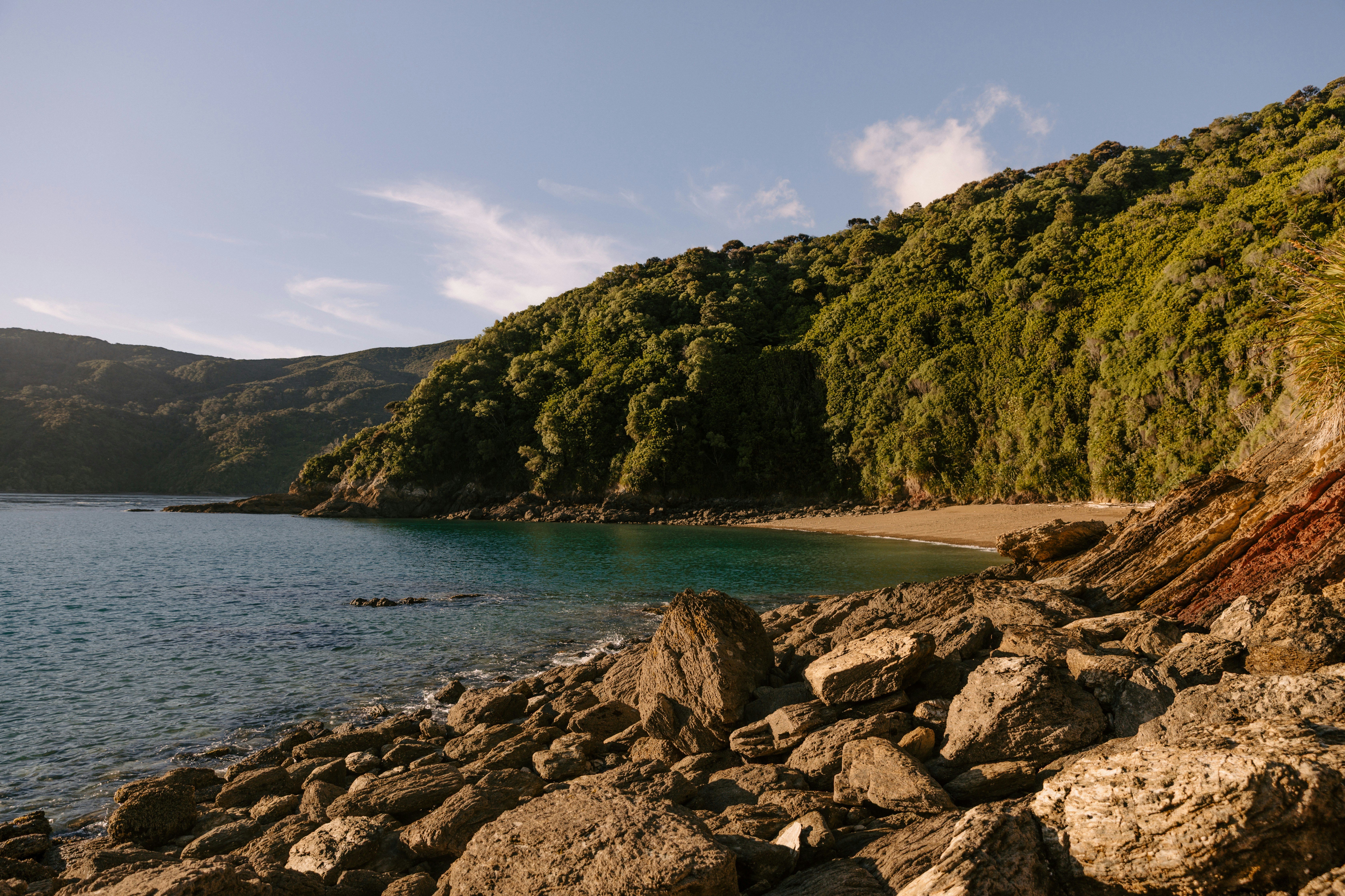 Photo by createinme_nz