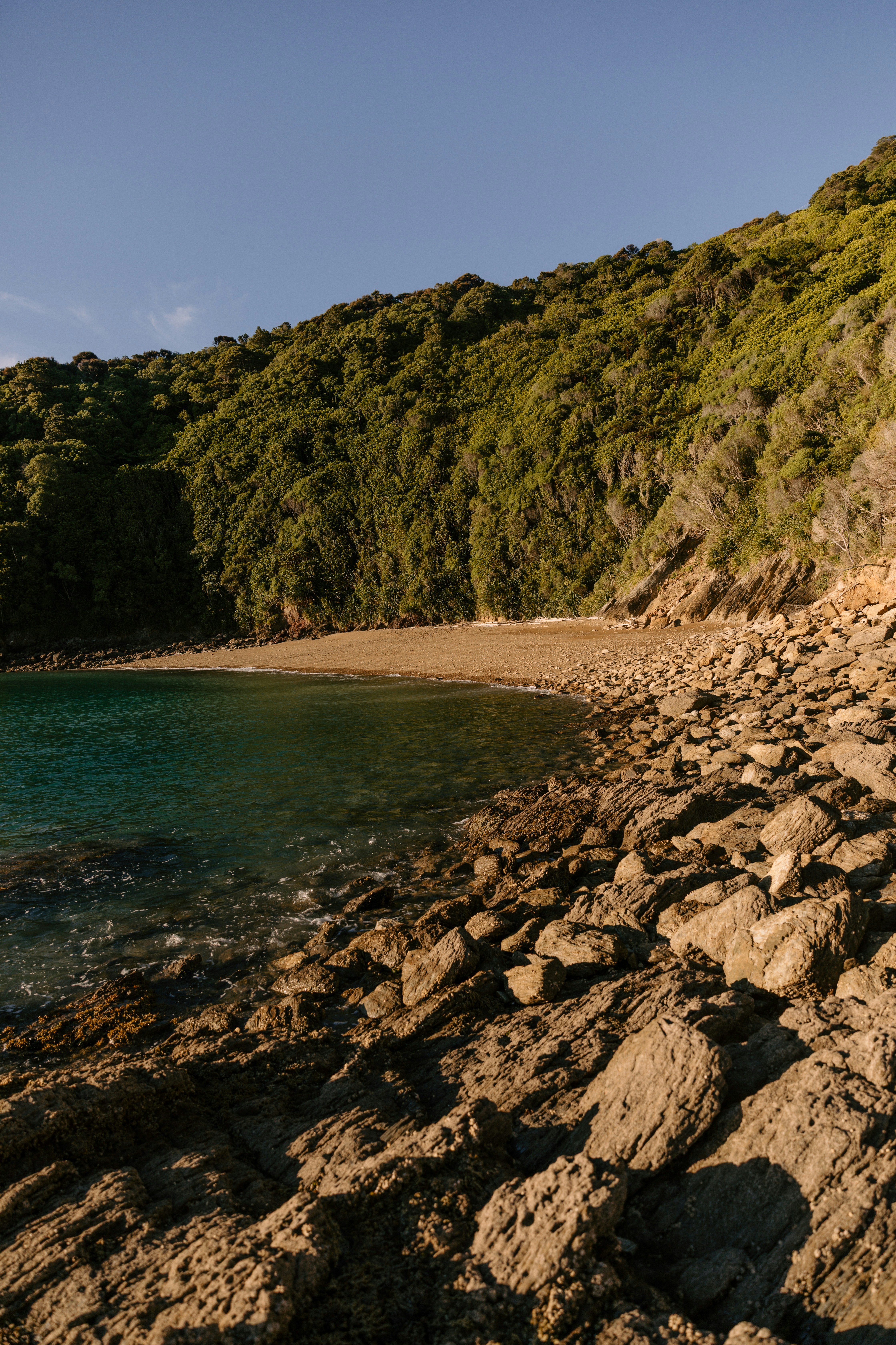 Photo by createinme_nz